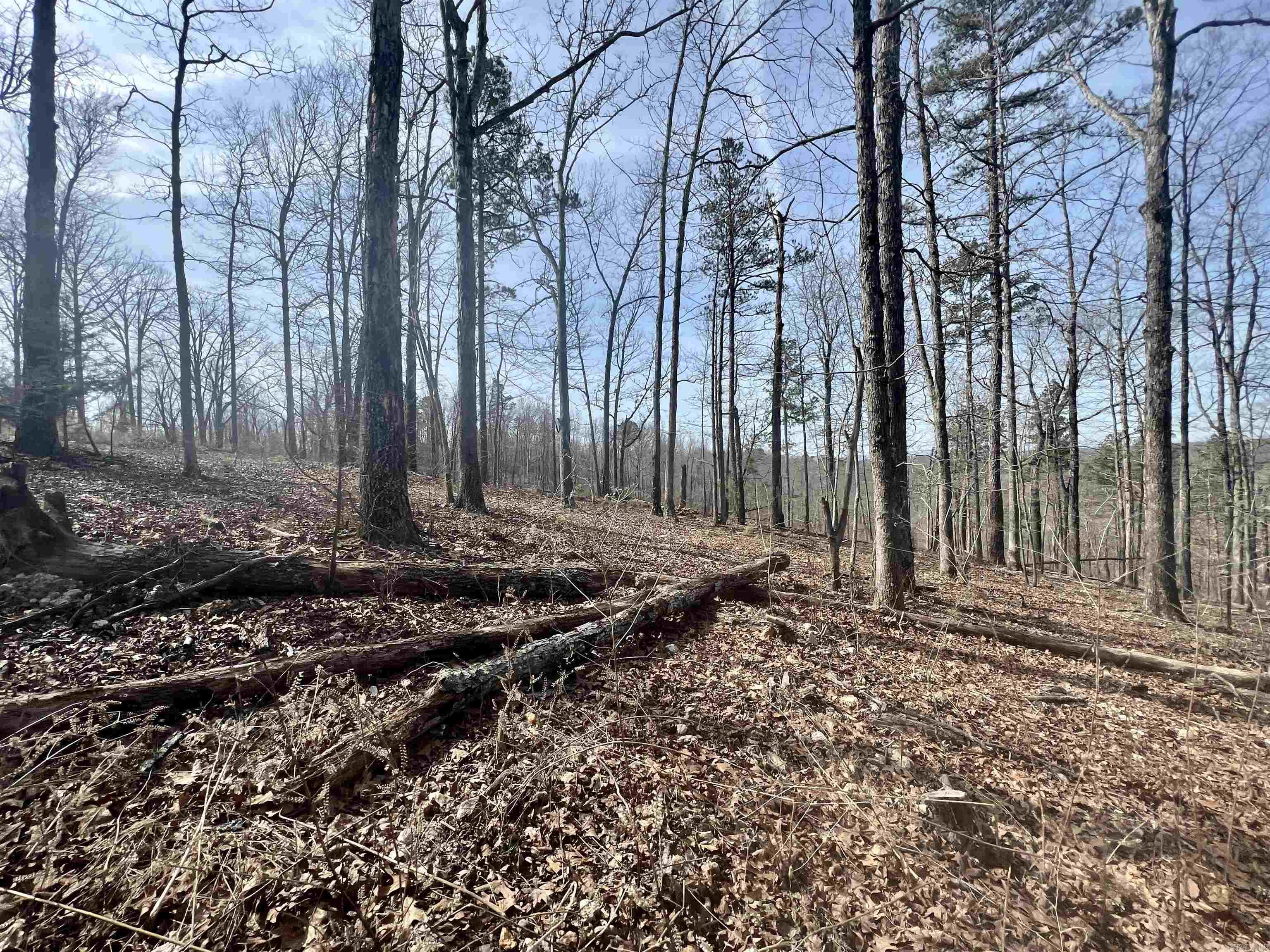 Tract 5 Ramblewood Trail  Yellville, AR