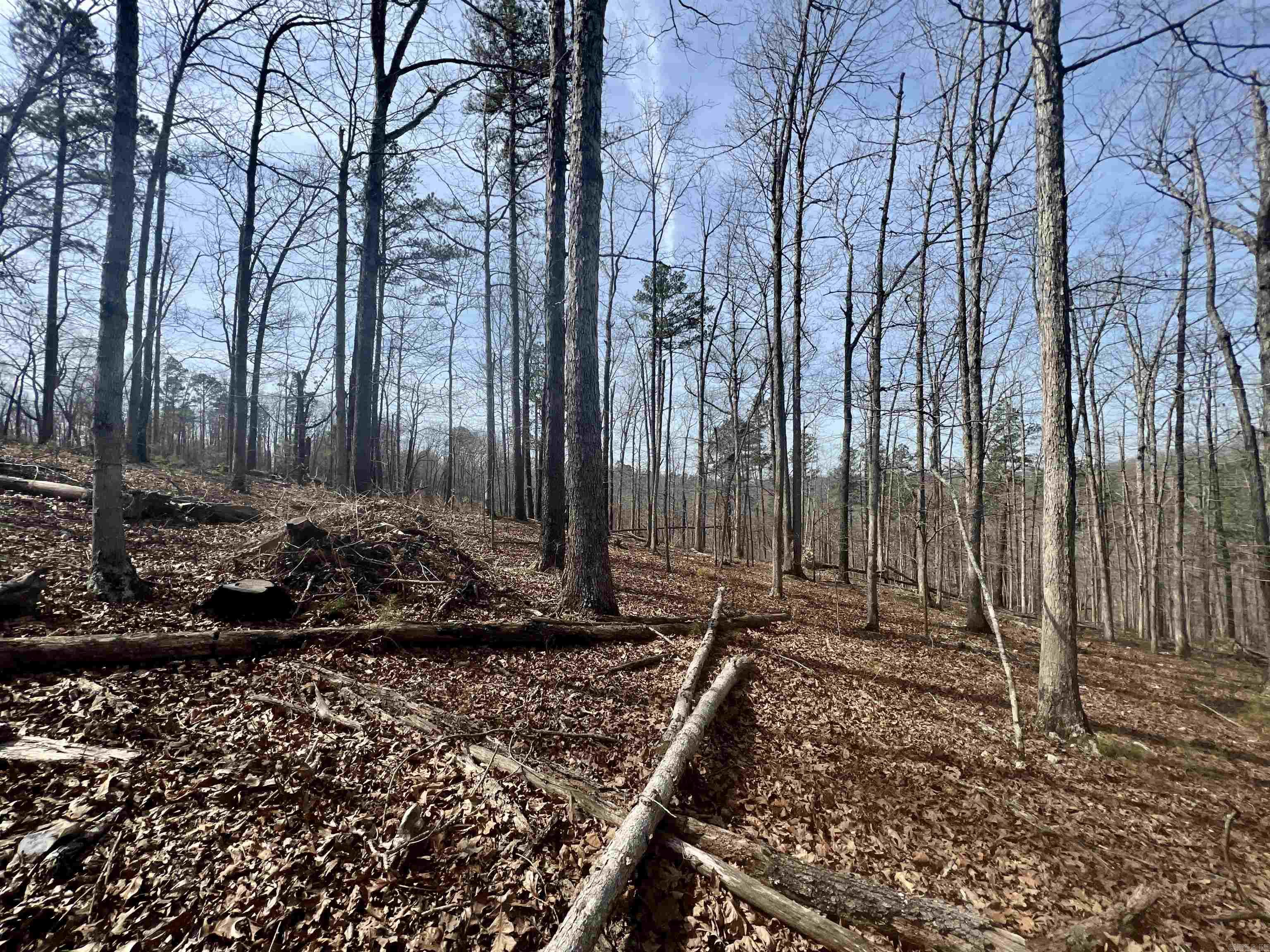 Tract 5 Ramblewood Trail  Yellville, AR