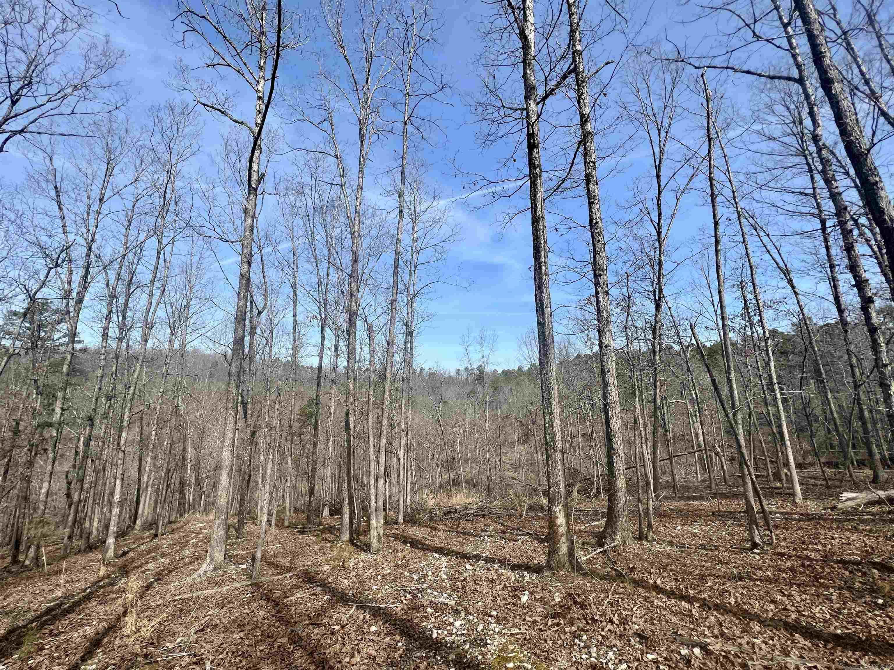 Tract 5 Ramblewood Trail  Yellville, AR