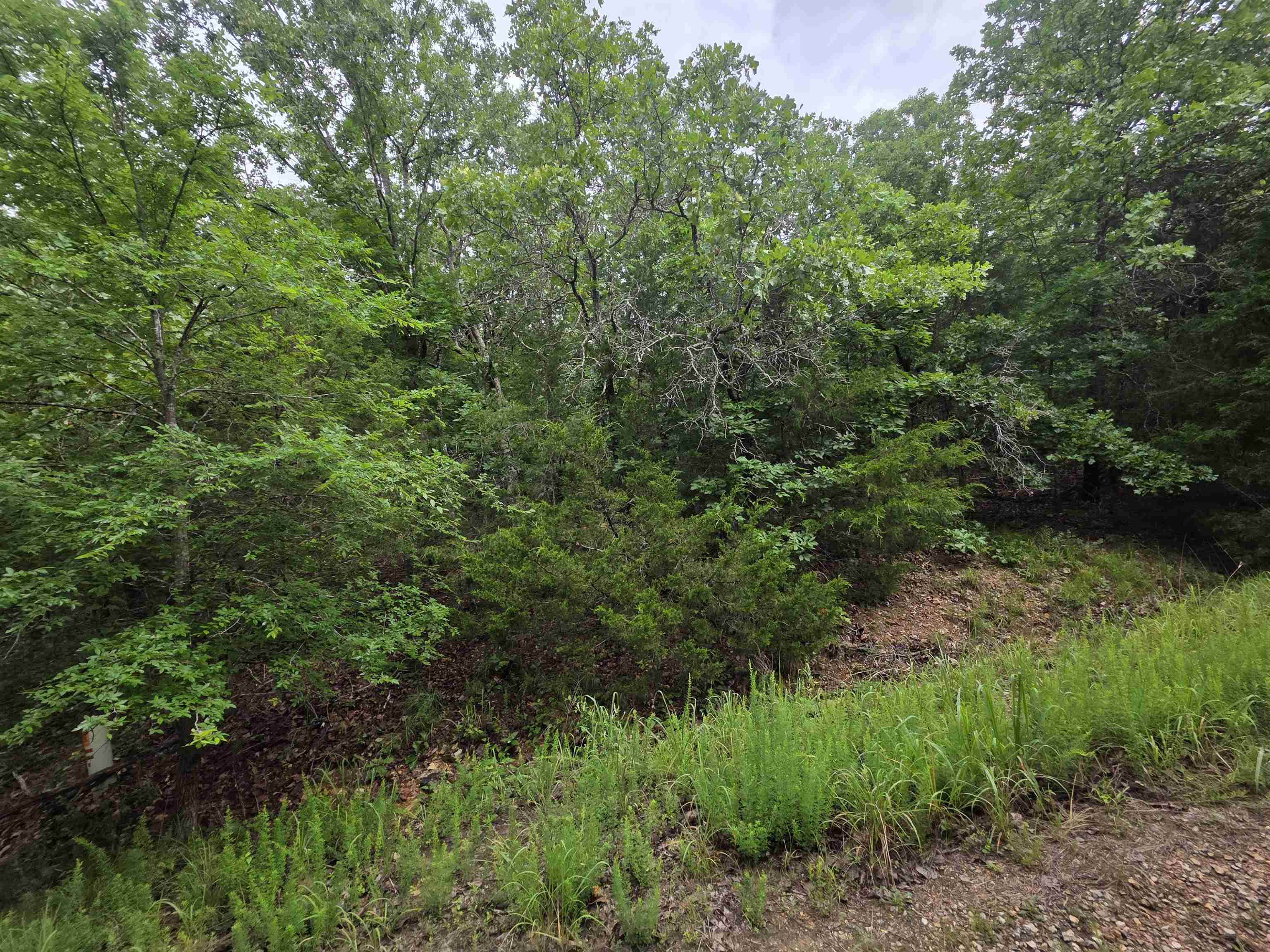 L-10, B-4 Arizonac  Cherokee Village, AR