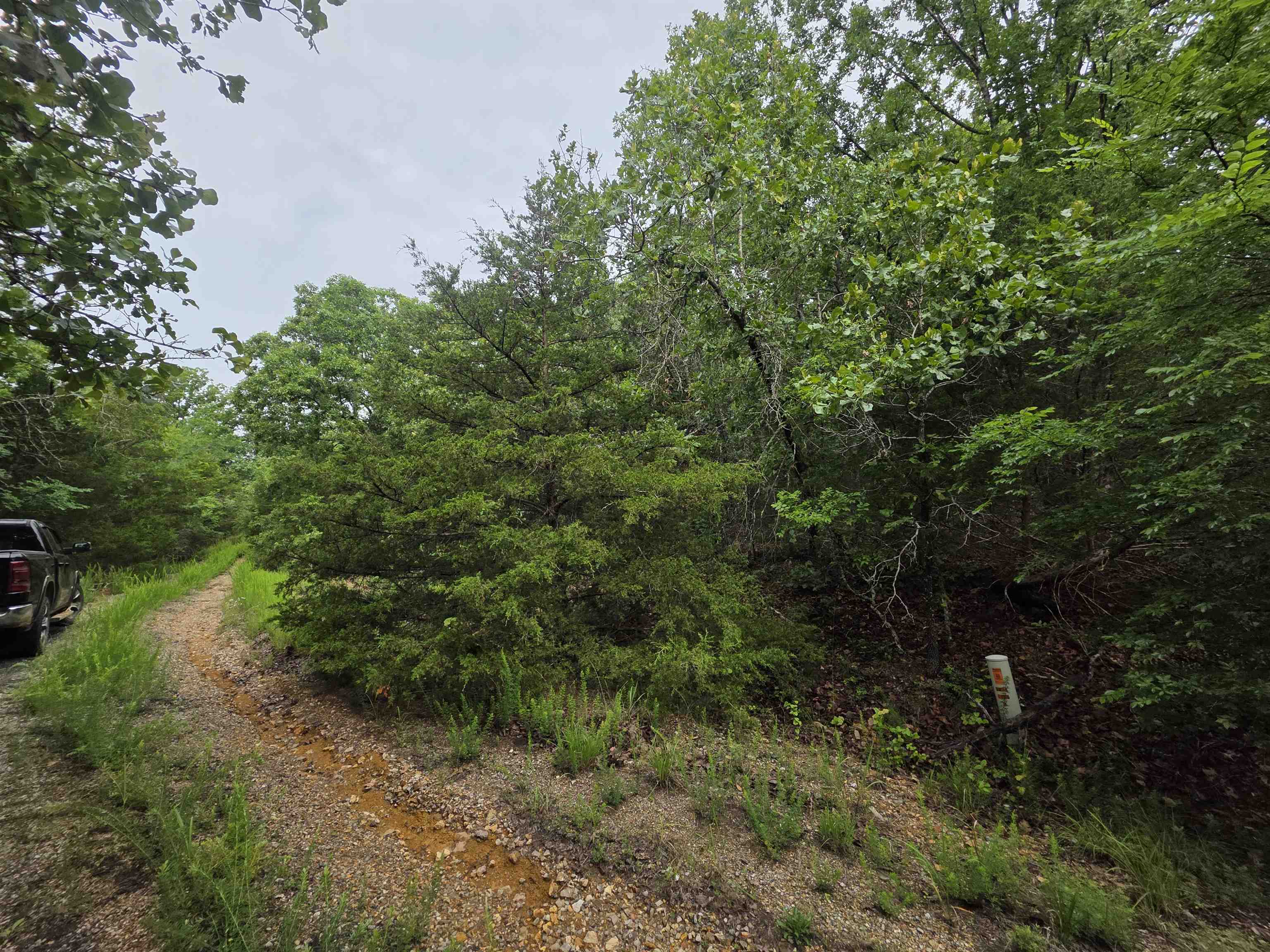 L-10, B-4 Arizonac  Cherokee Village, AR