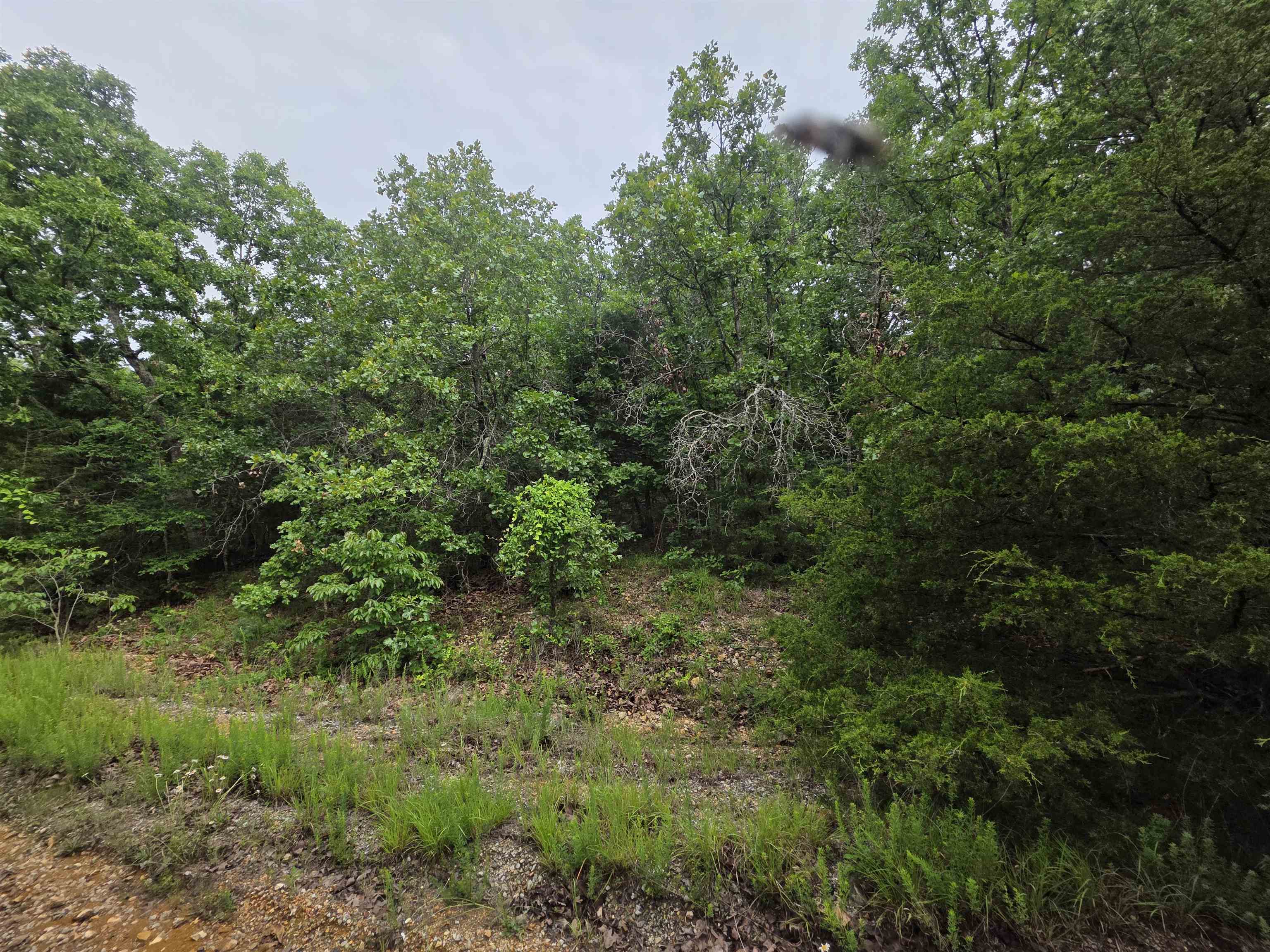 L-10, B-4 Arizonac  Cherokee Village, AR