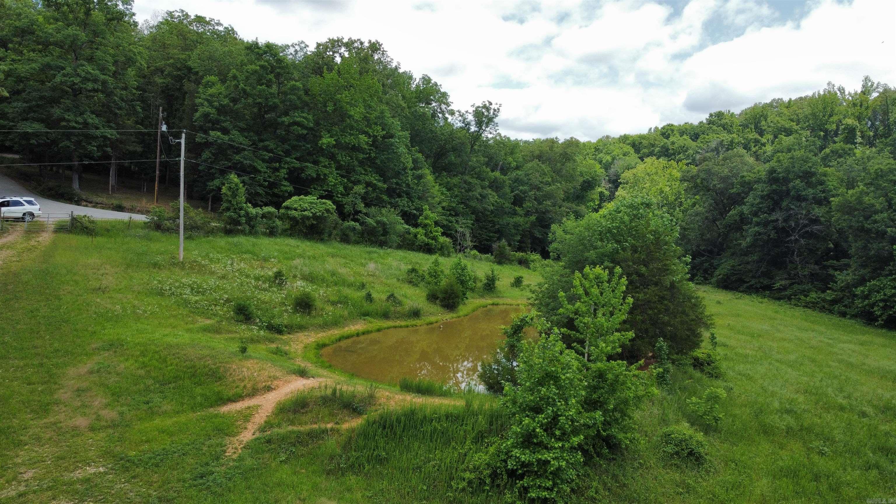 000 Cedar Hills Road  Mountain View, AR