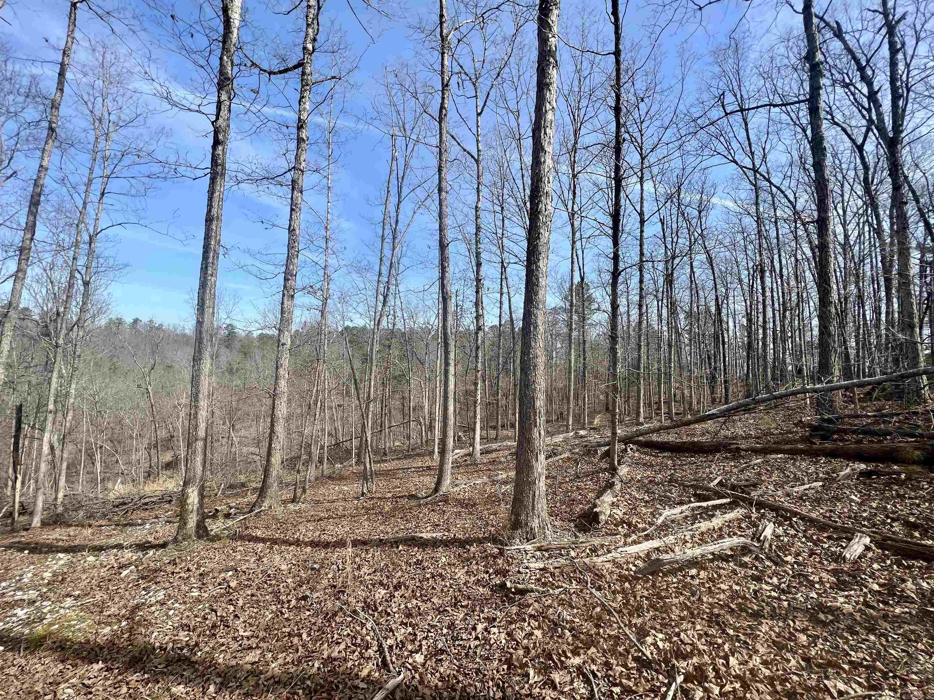 Tract 6 Ramblewood Trail  Yellville, AR
