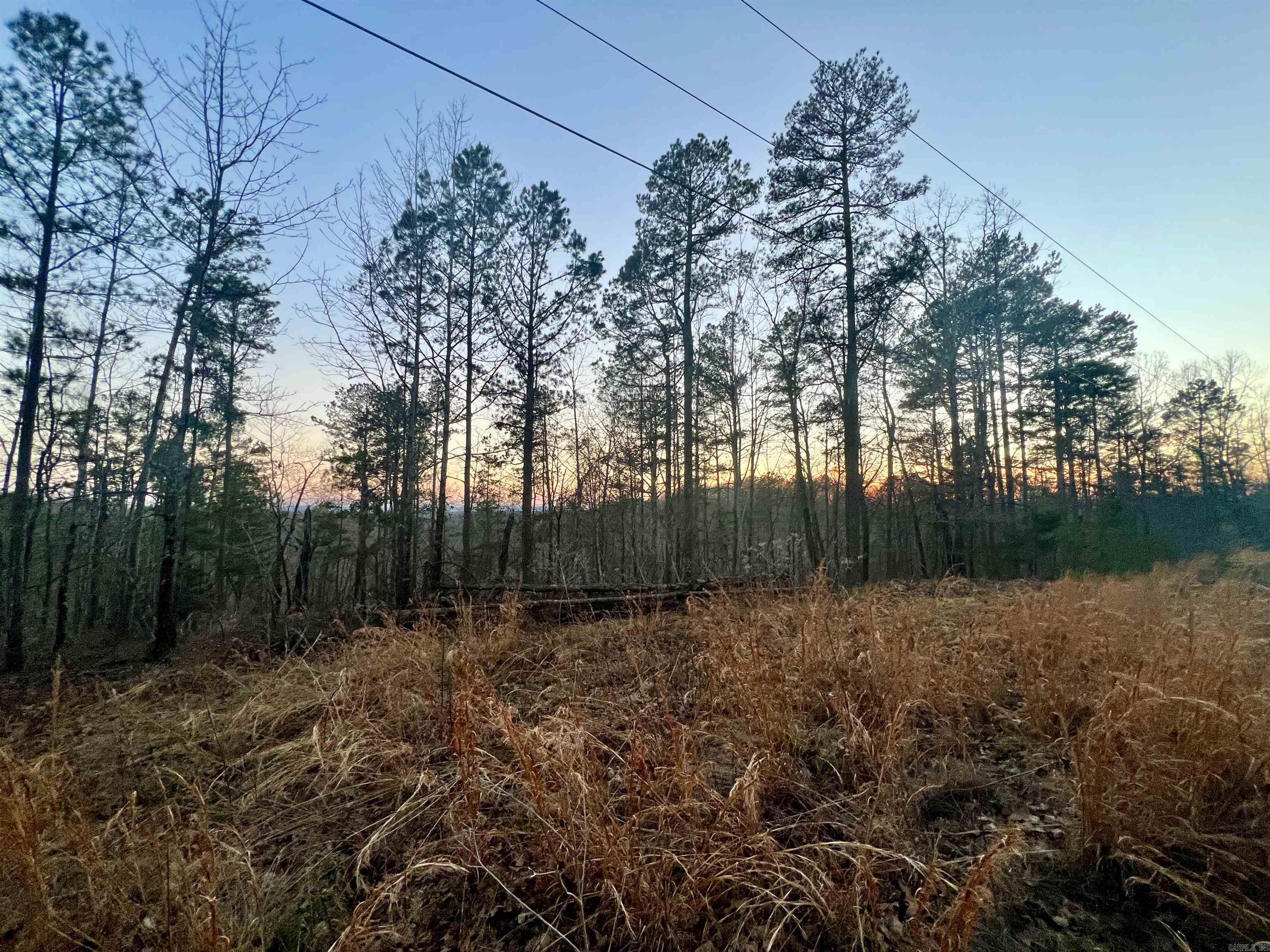 Tract 6 Ramblewood Trail  Yellville, AR