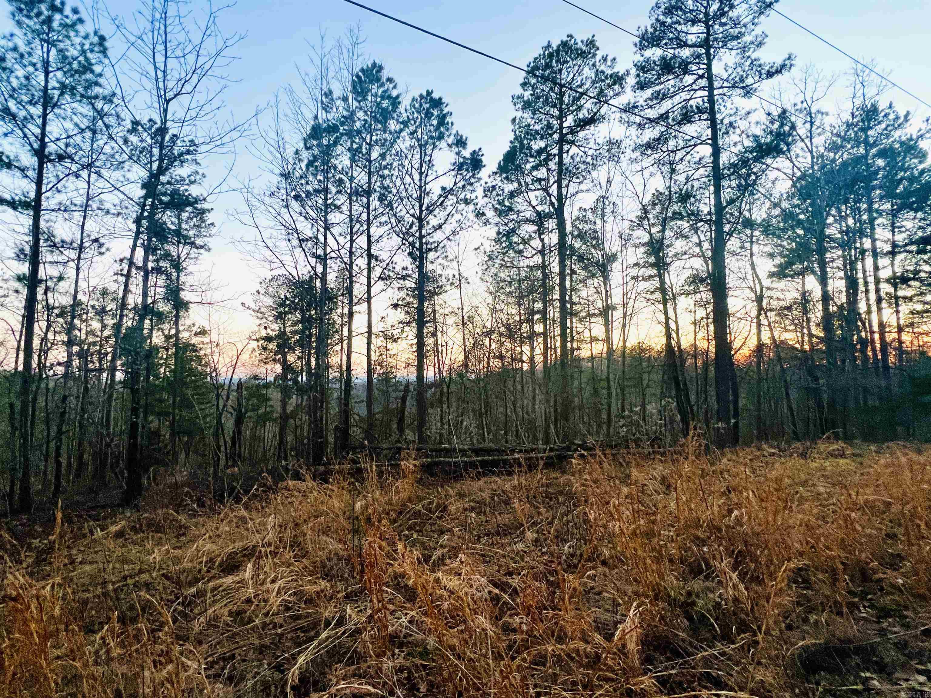 Tract 6 Ramblewood Trail  Yellville, AR