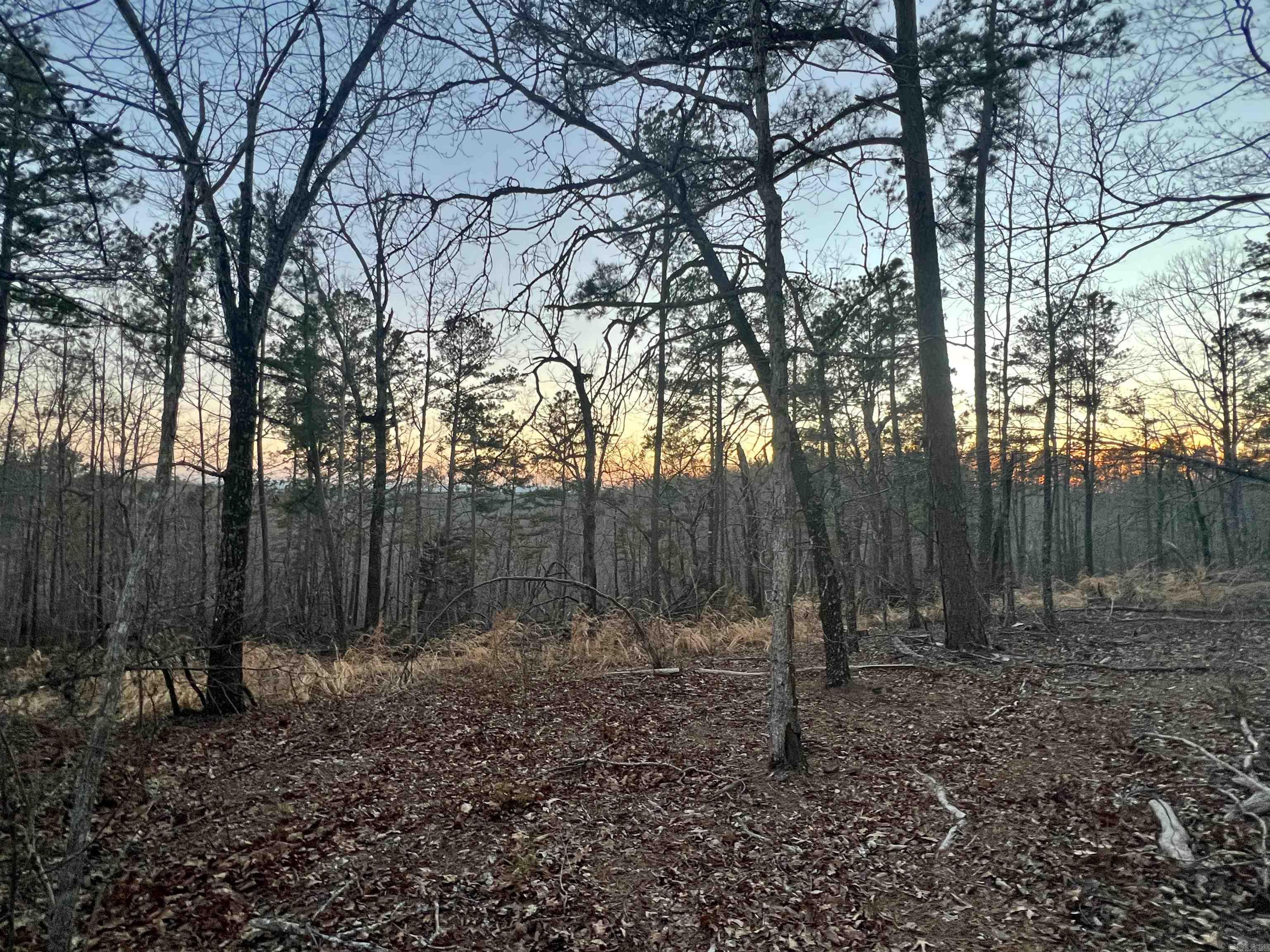 Tract 6 Ramblewood Trail  Yellville, AR