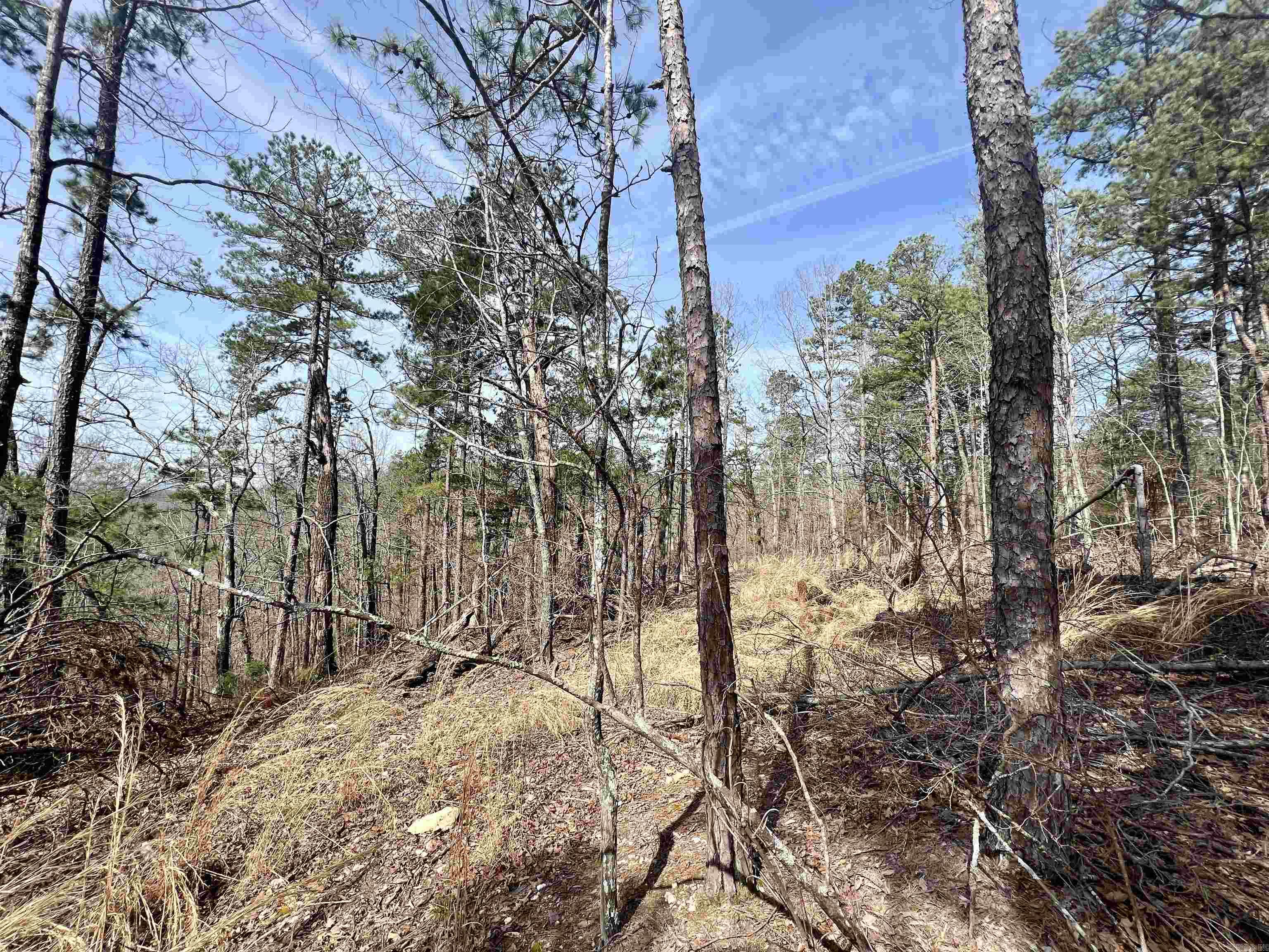 Tract 6 Ramblewood Trail  Yellville, AR