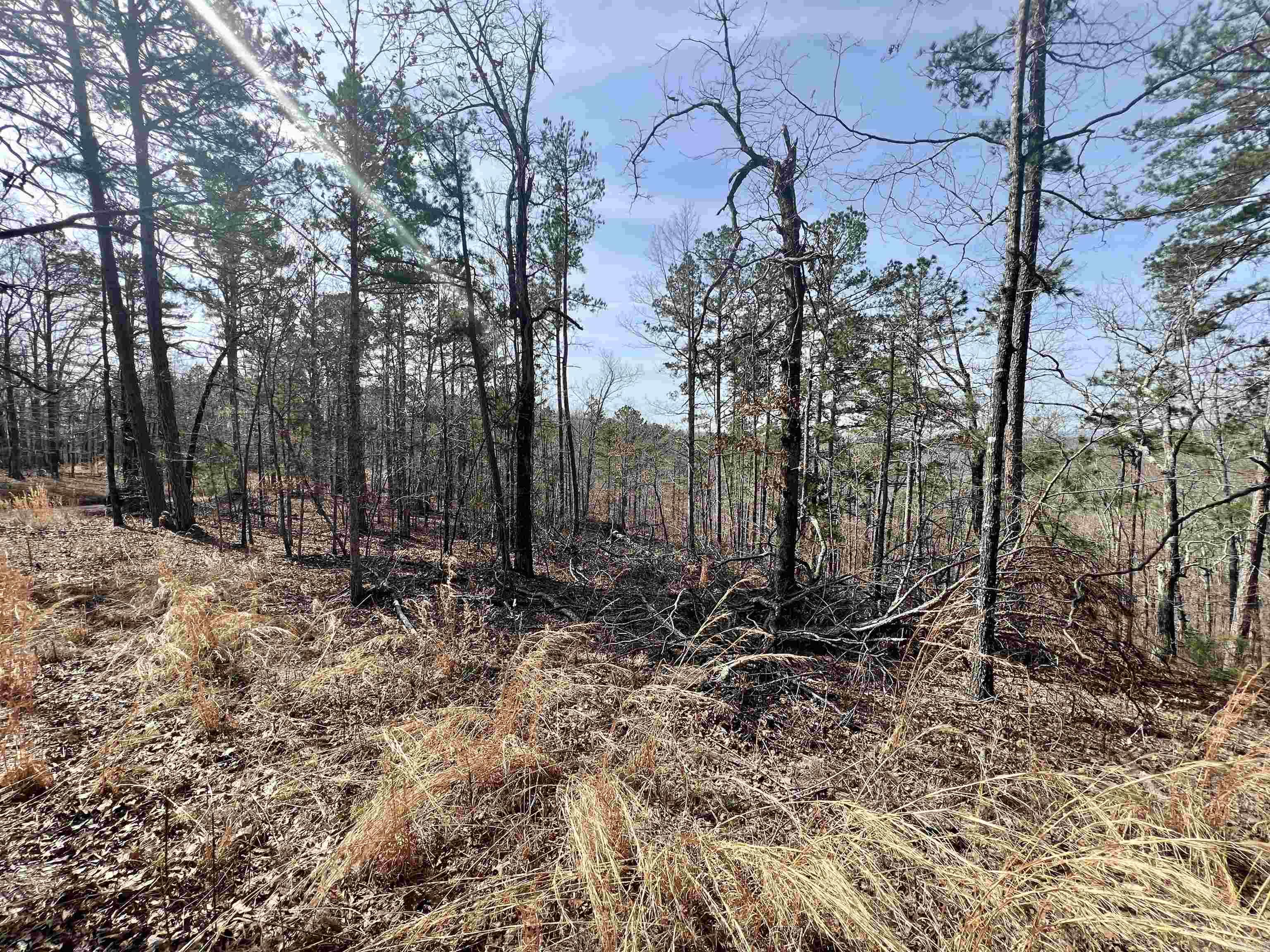 Tract 6 Ramblewood Trail  Yellville, AR