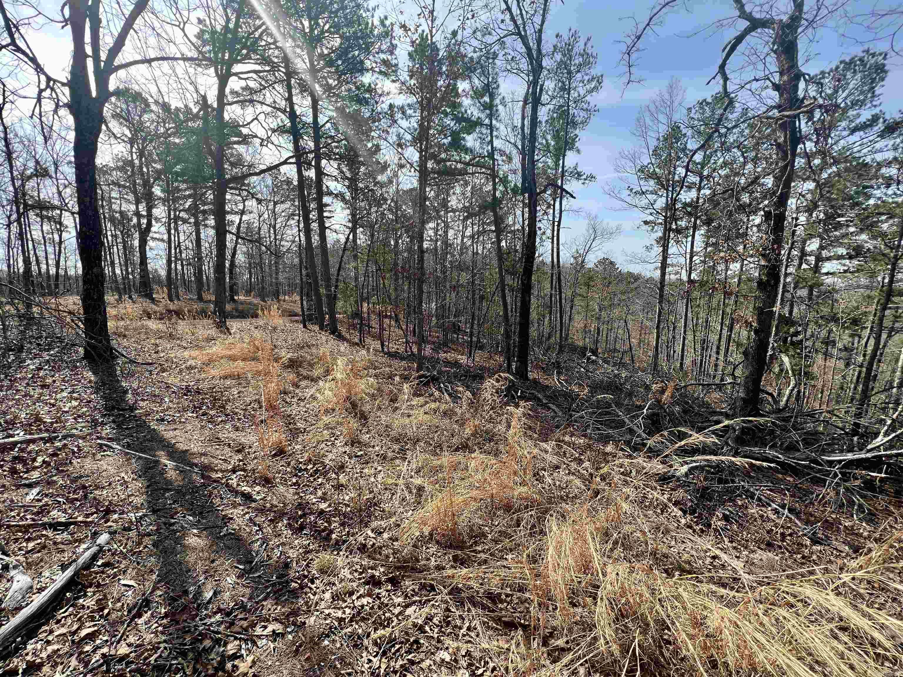 Tract 6 Ramblewood Trail  Yellville, AR
