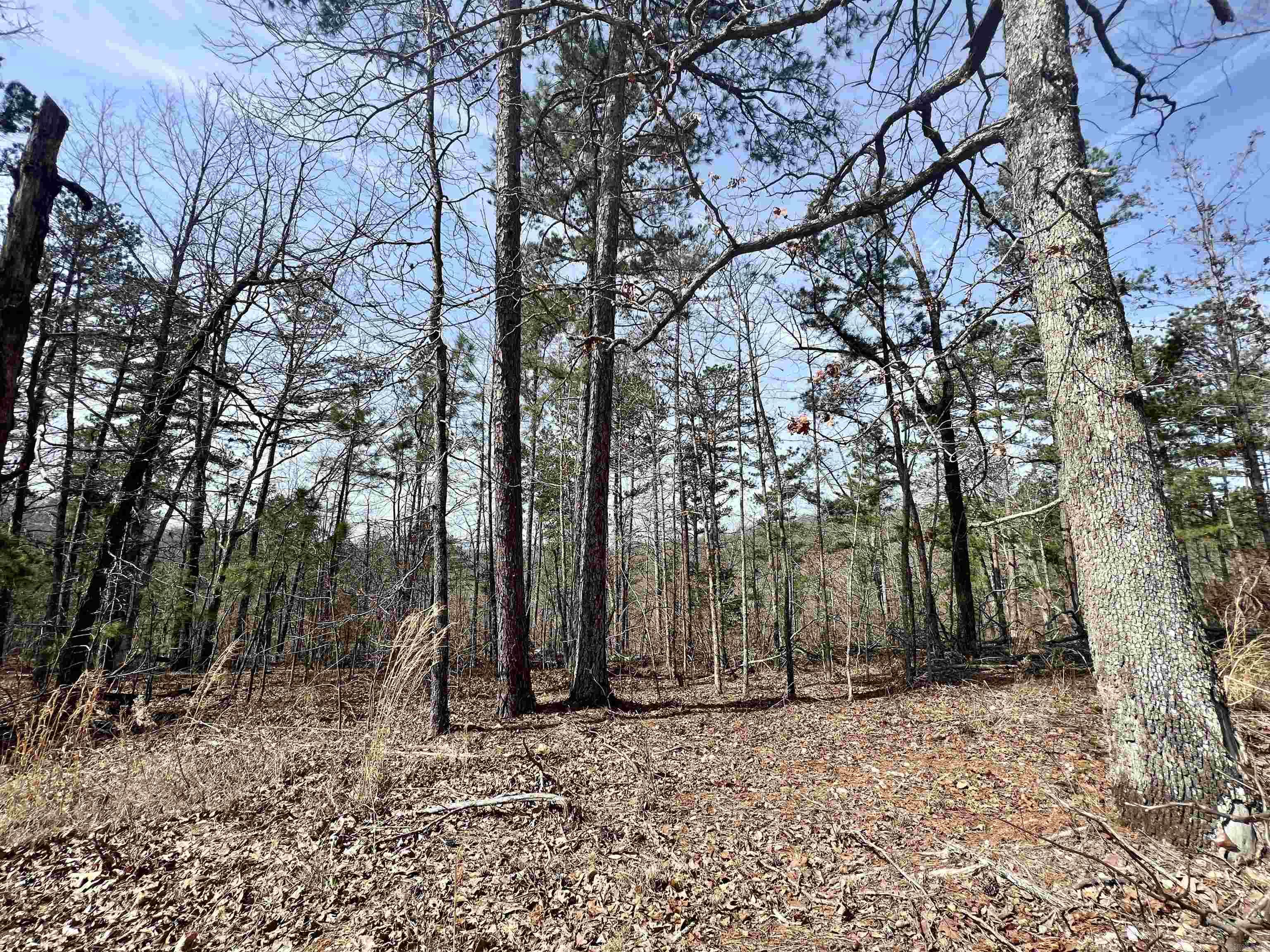Tract 6 Ramblewood Trail  Yellville, AR