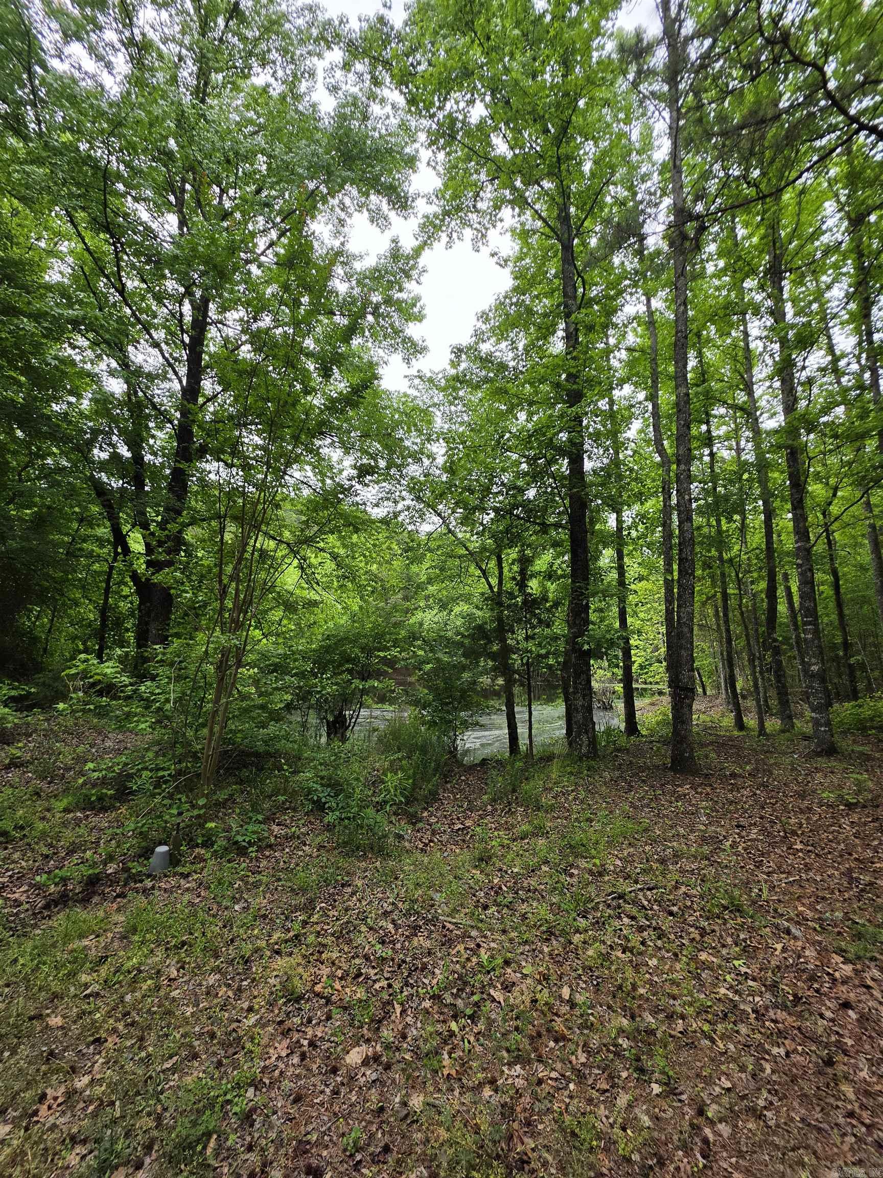 4972 Highway 8 East  Mena, AR
