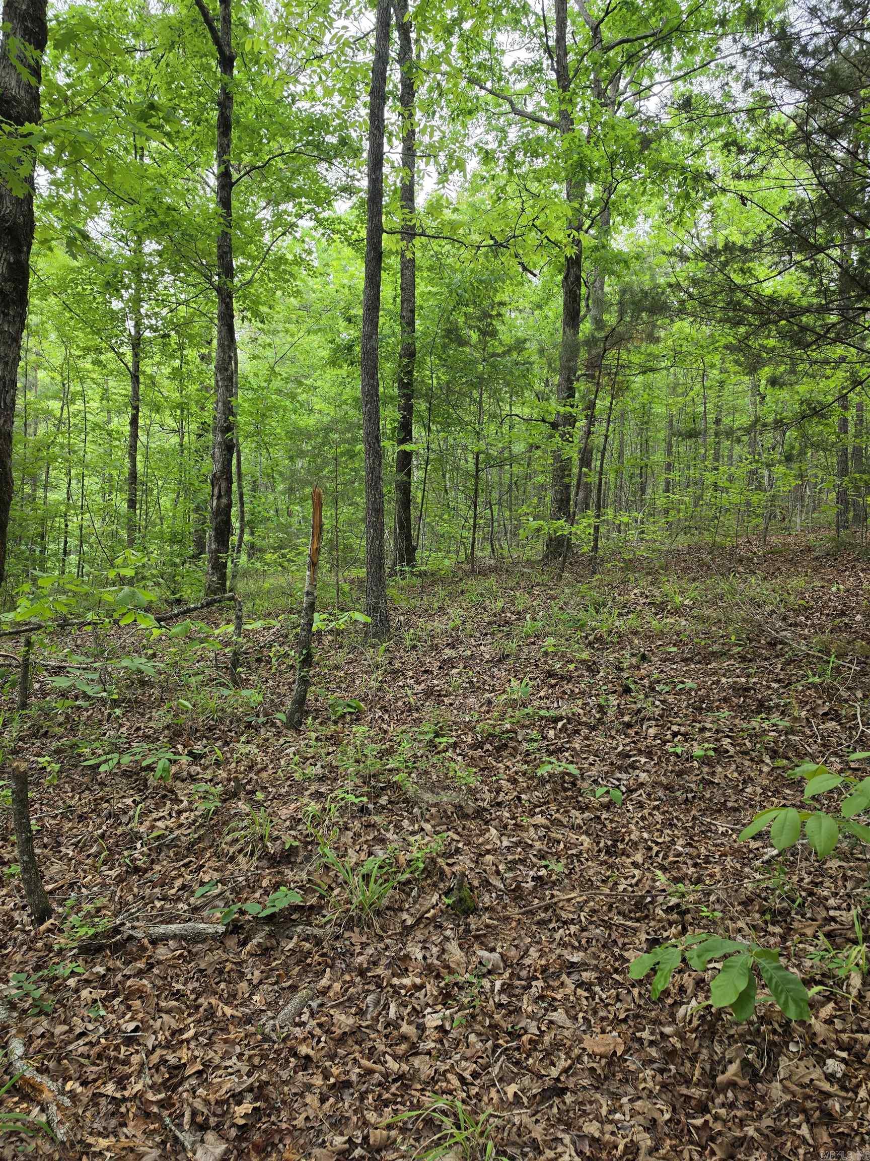 4972 Highway 8 East  Mena, AR