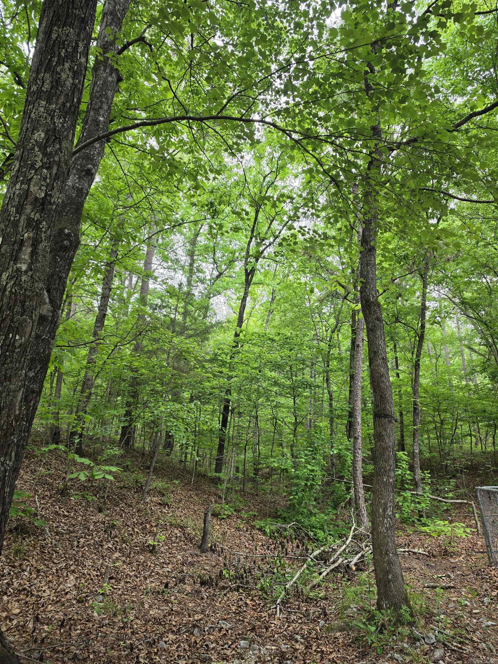 4972 Highway 8 East  Mena, AR