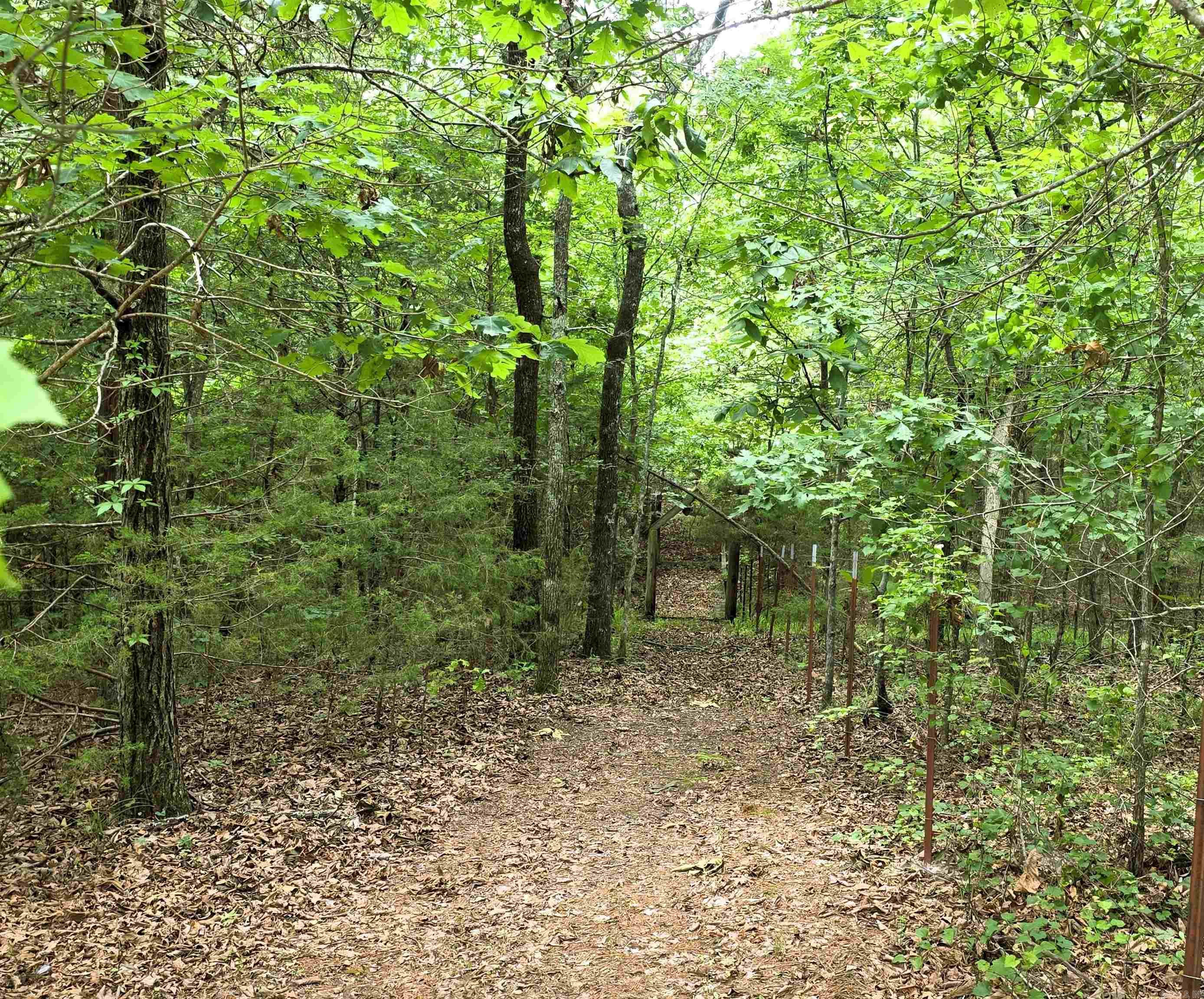 115 Polk Road 169  Mena, AR