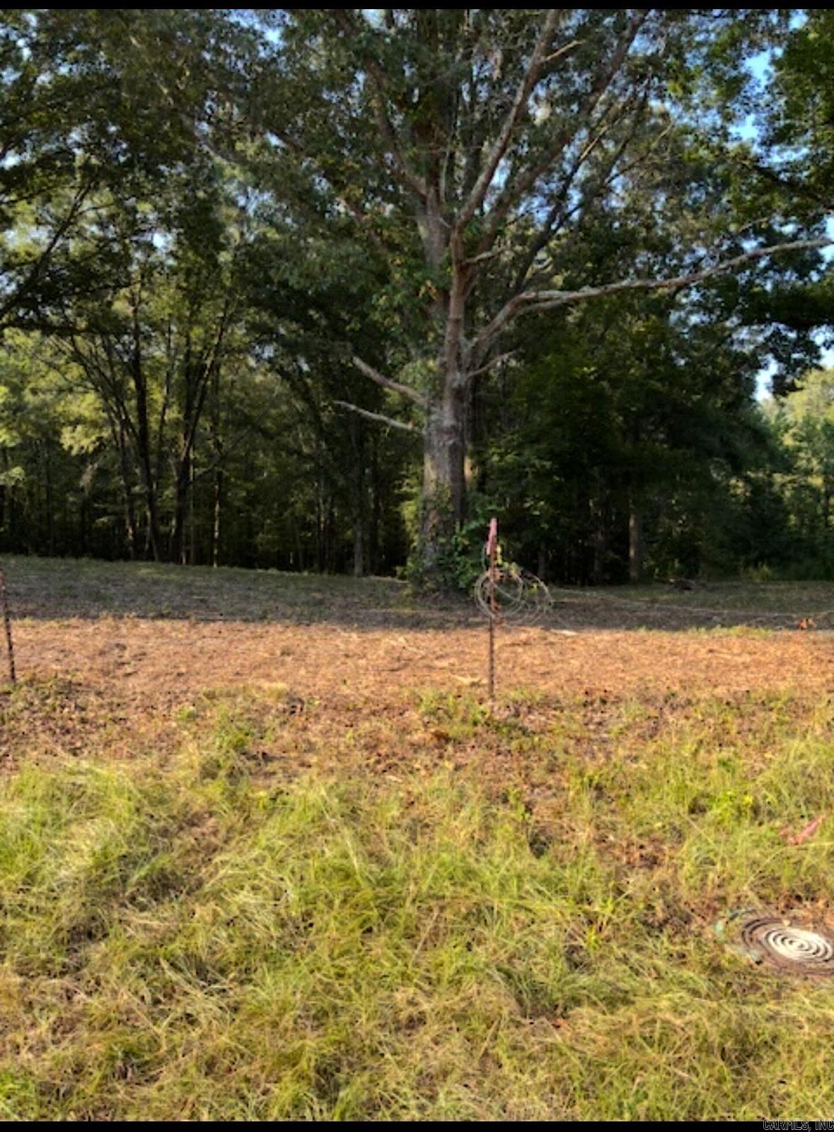 Tract C 1-2 MORNINGSTAR CIRCLE  Benton, AR