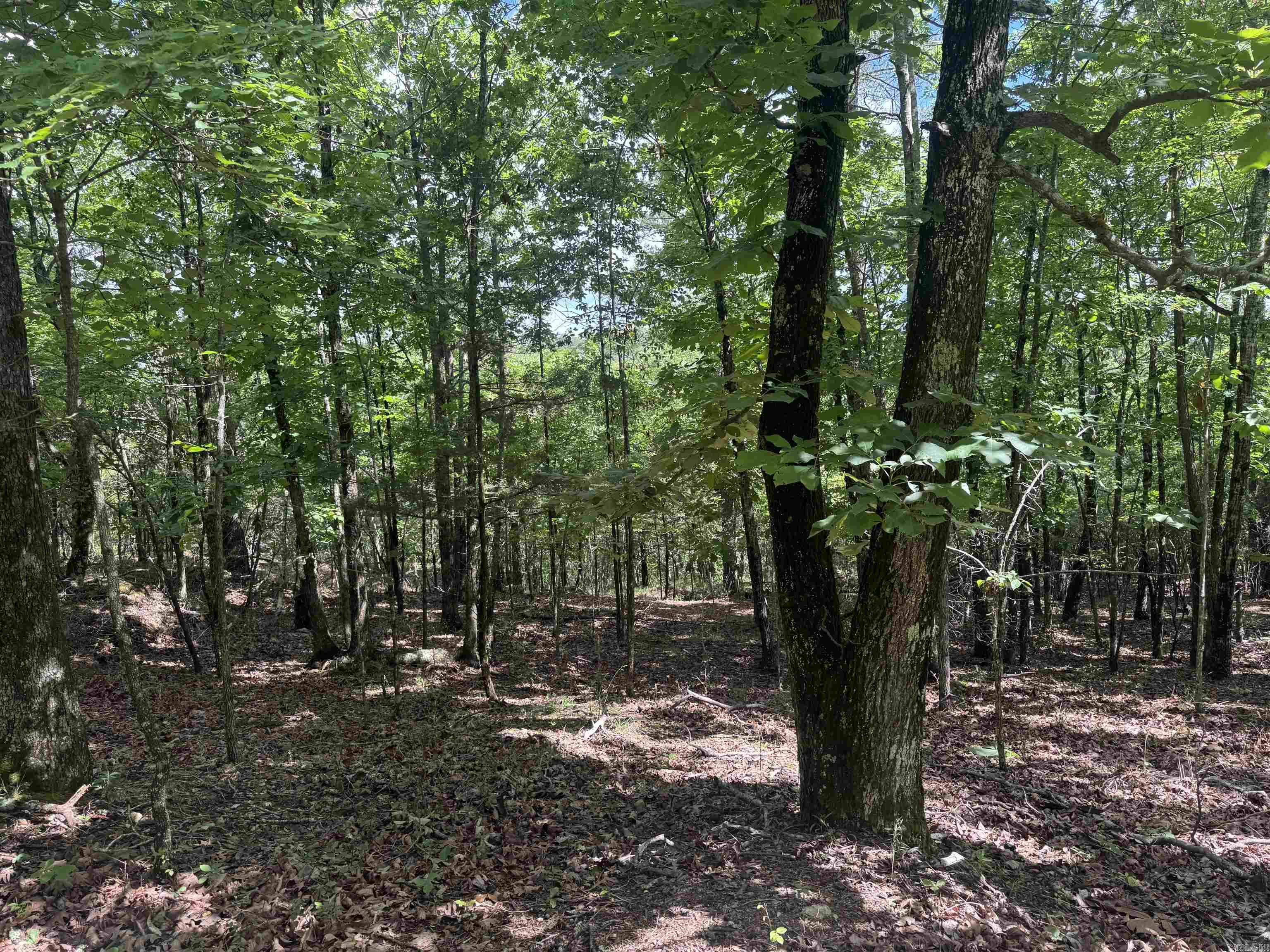 000 Mt Laurel  Glenwood, AR