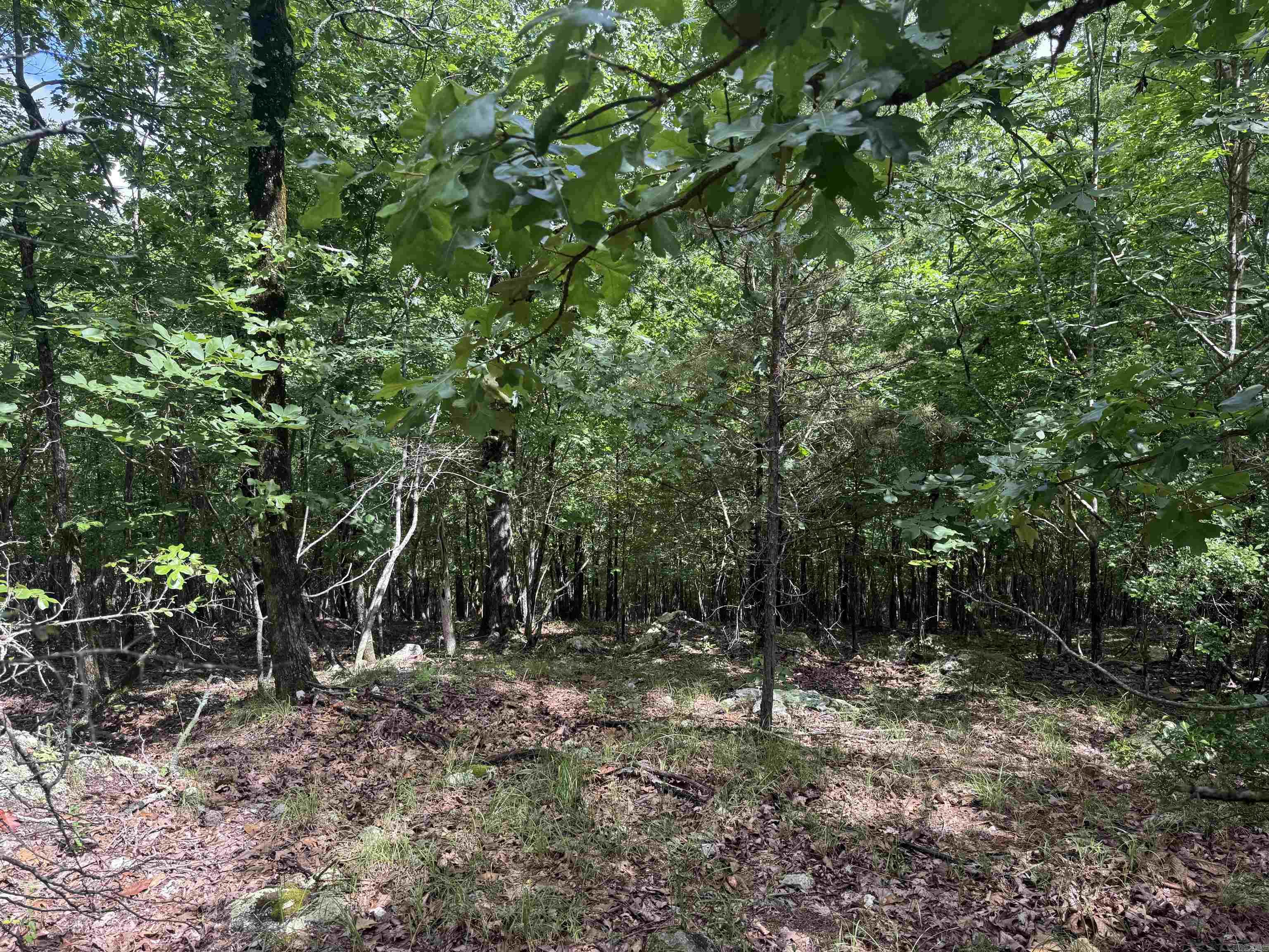 000 Mt Laurel  Glenwood, AR
