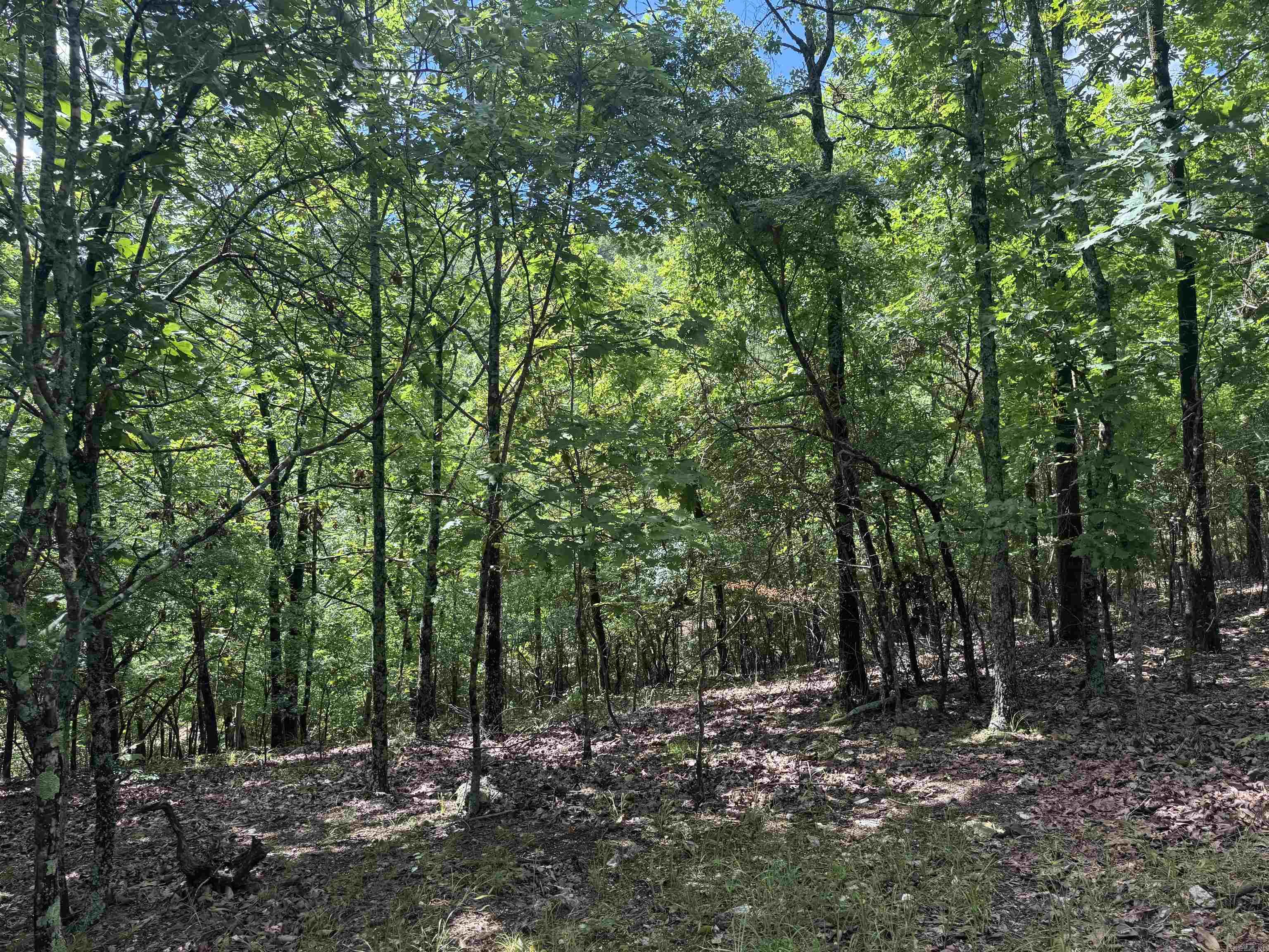 000 Mt Laurel  Glenwood, AR