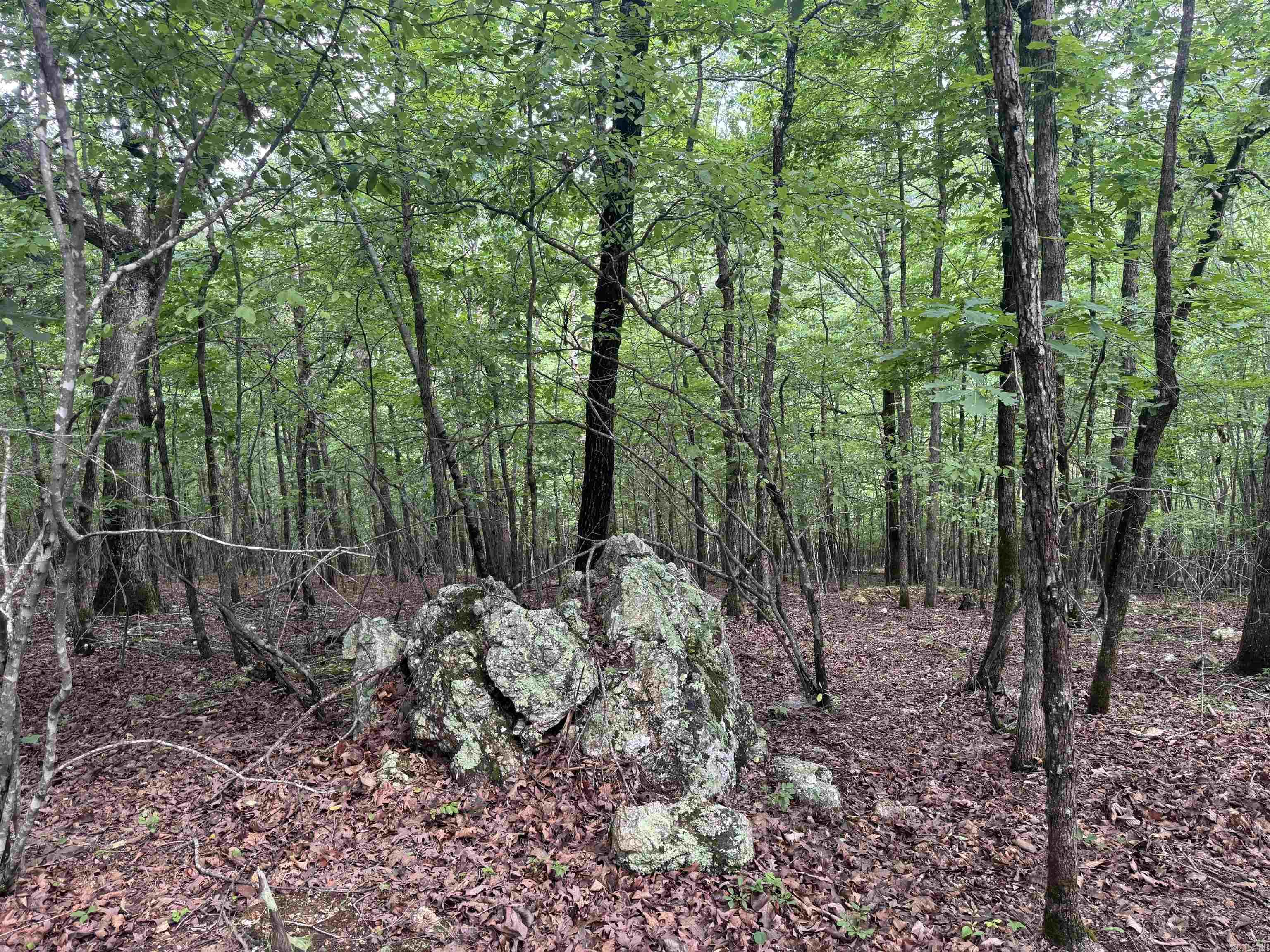 000 Mt Laurel  Glenwood, AR