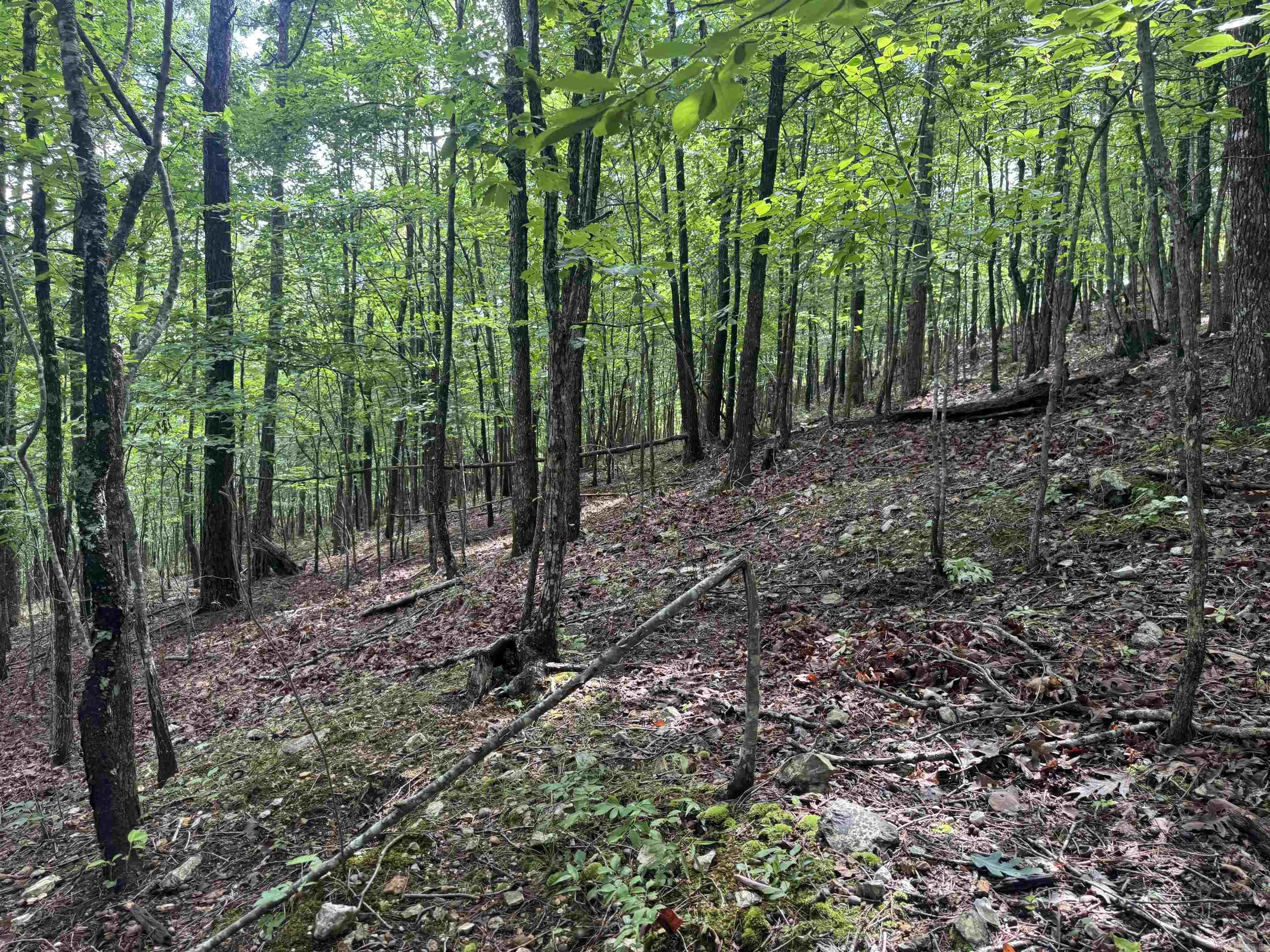 000 Mt Laurel  Glenwood, AR