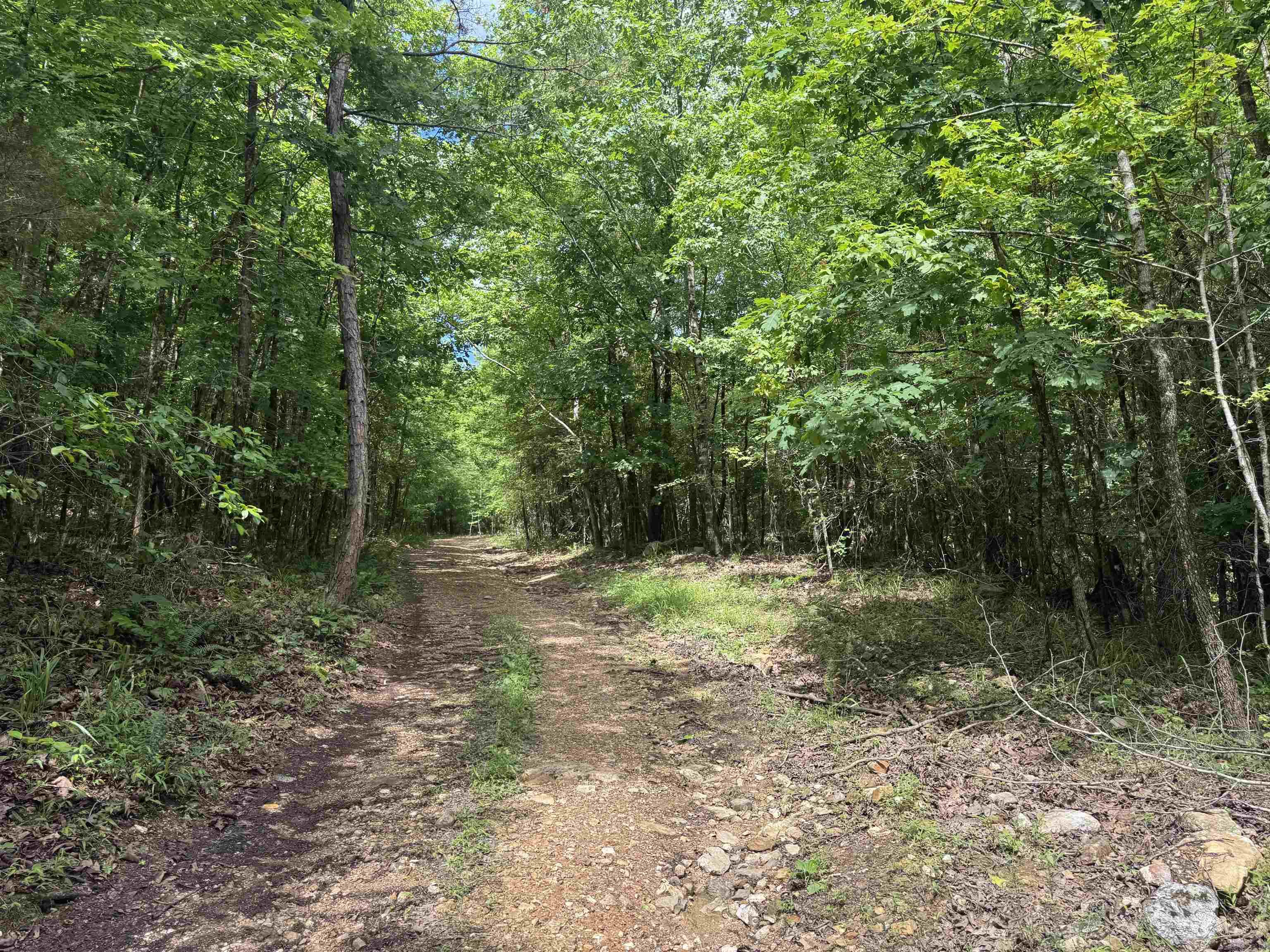000 Mt Laurel  Glenwood, AR