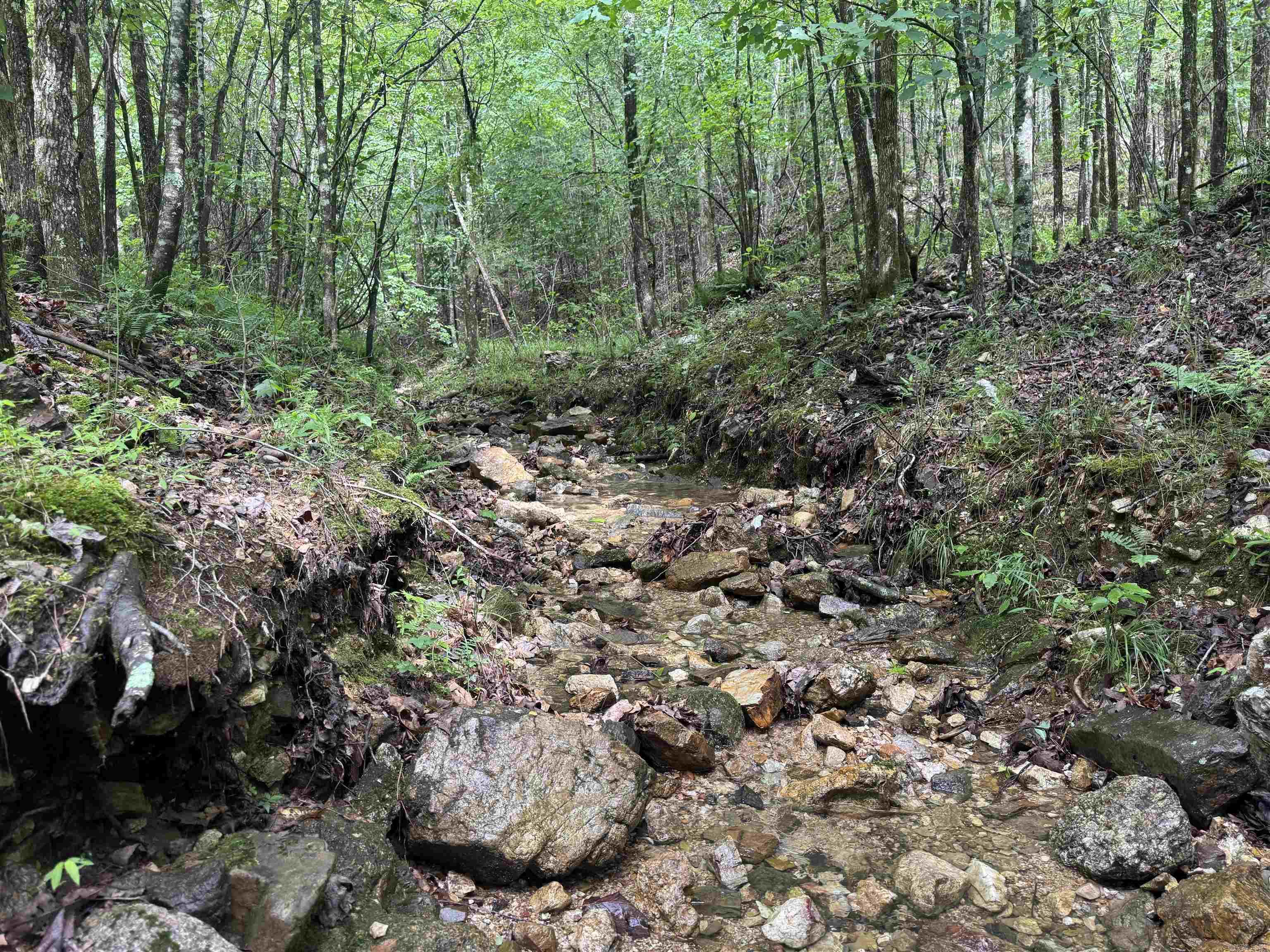 000 Mt Laurel  Glenwood, AR