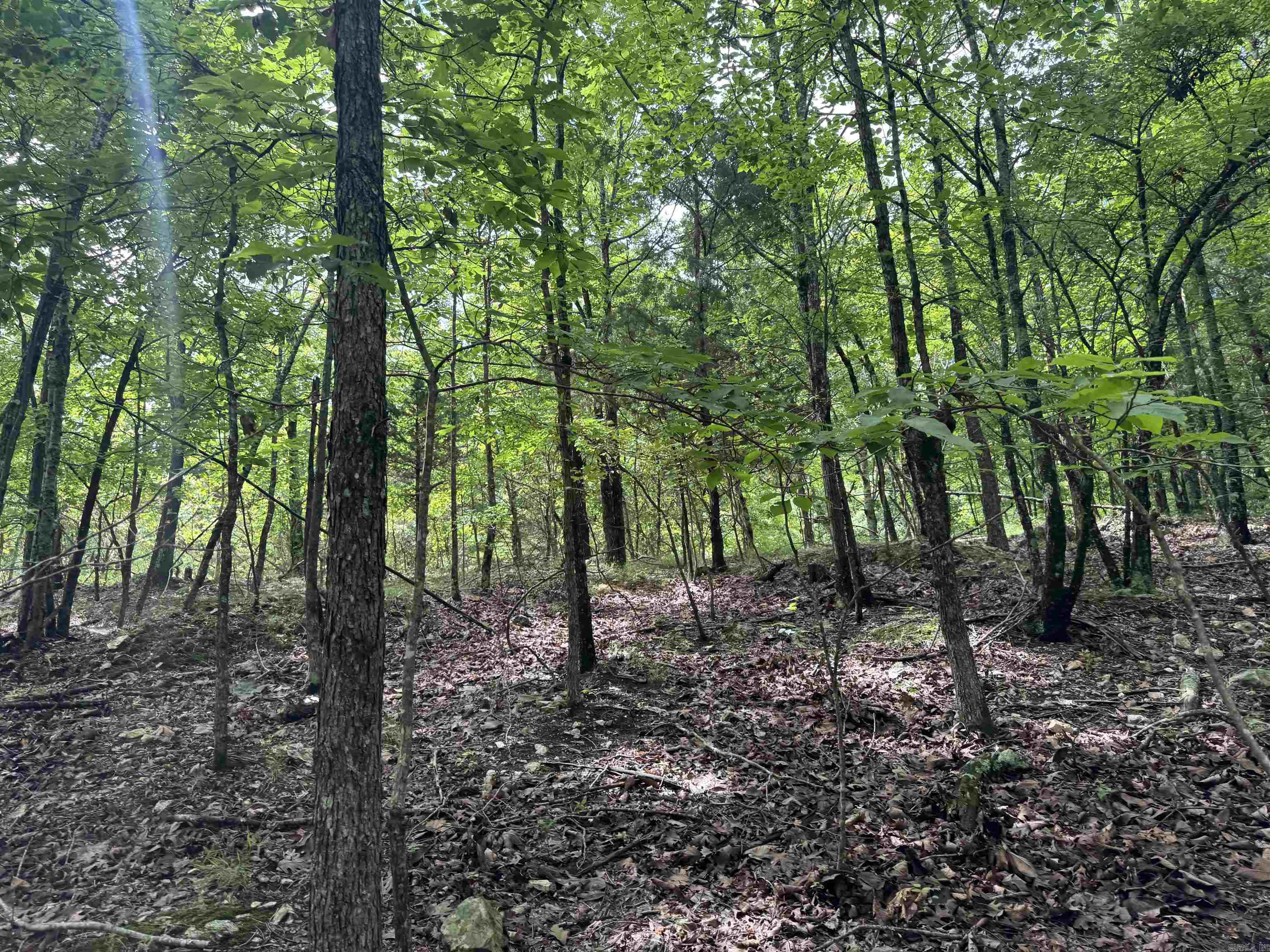 000 Mt Laurel  Glenwood, AR