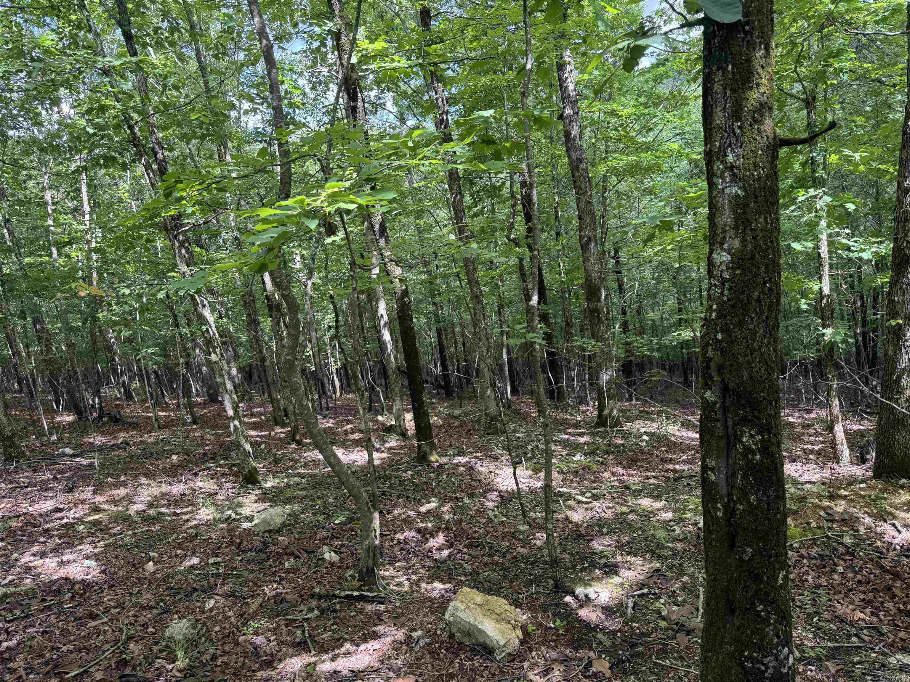 000 Mt Laurel  Glenwood, AR