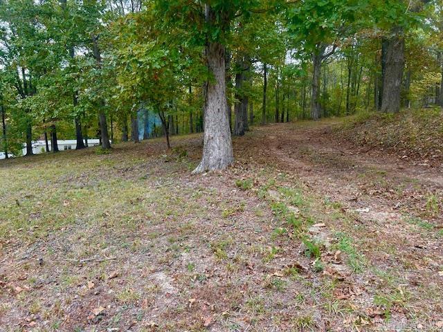 814 Herpel  Mountain View, AR