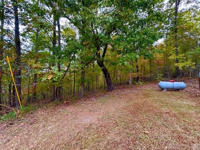 814 Herpel  Mountain View, AR