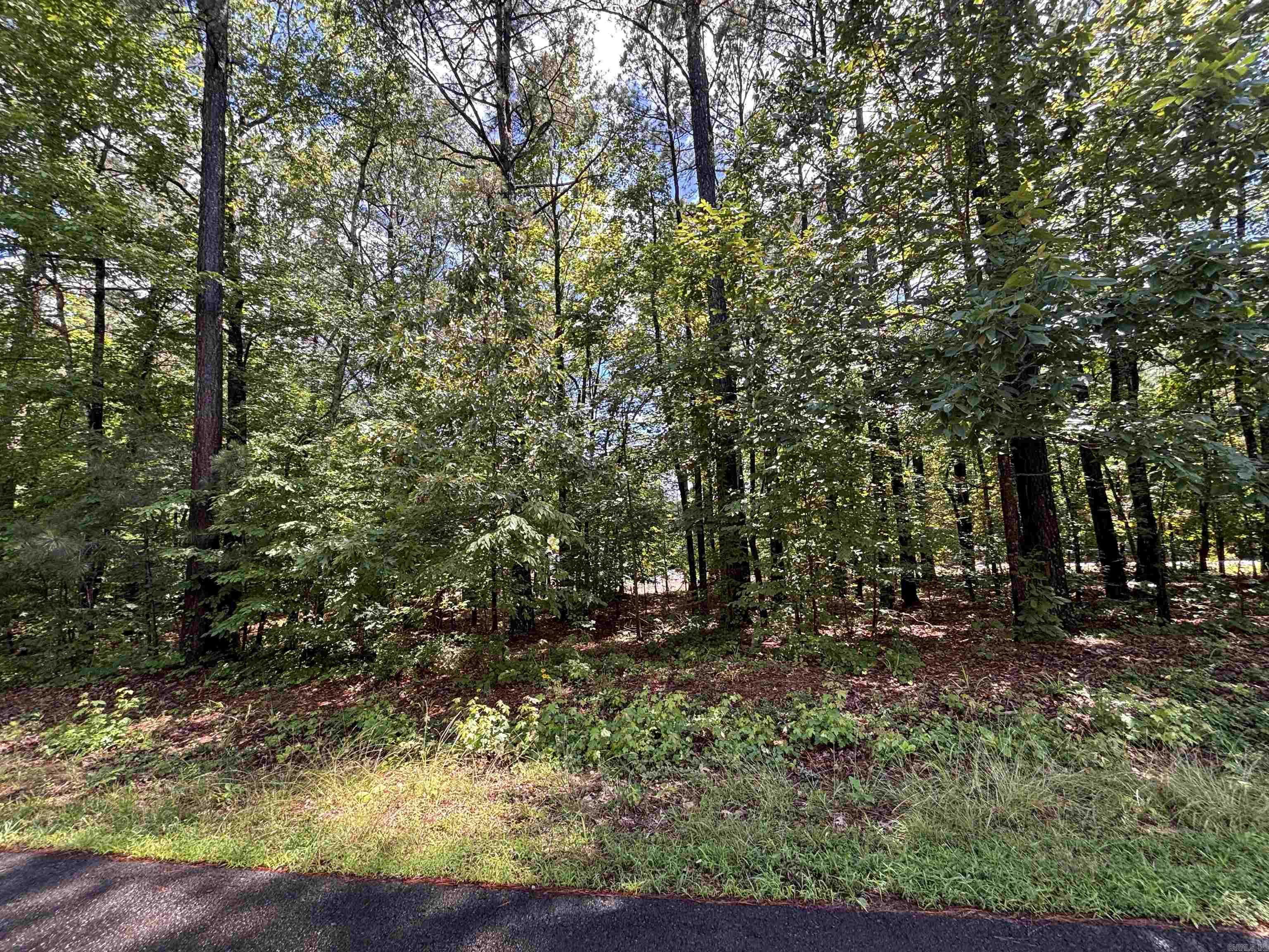 Lot 3 & 4 Panorama  Hot Springs Village, AR