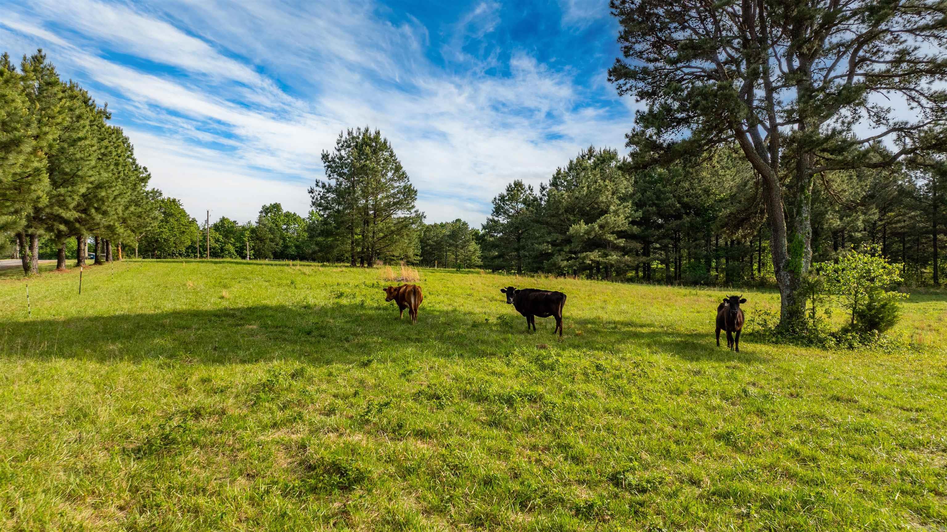 203 Spring  Searcy, AR