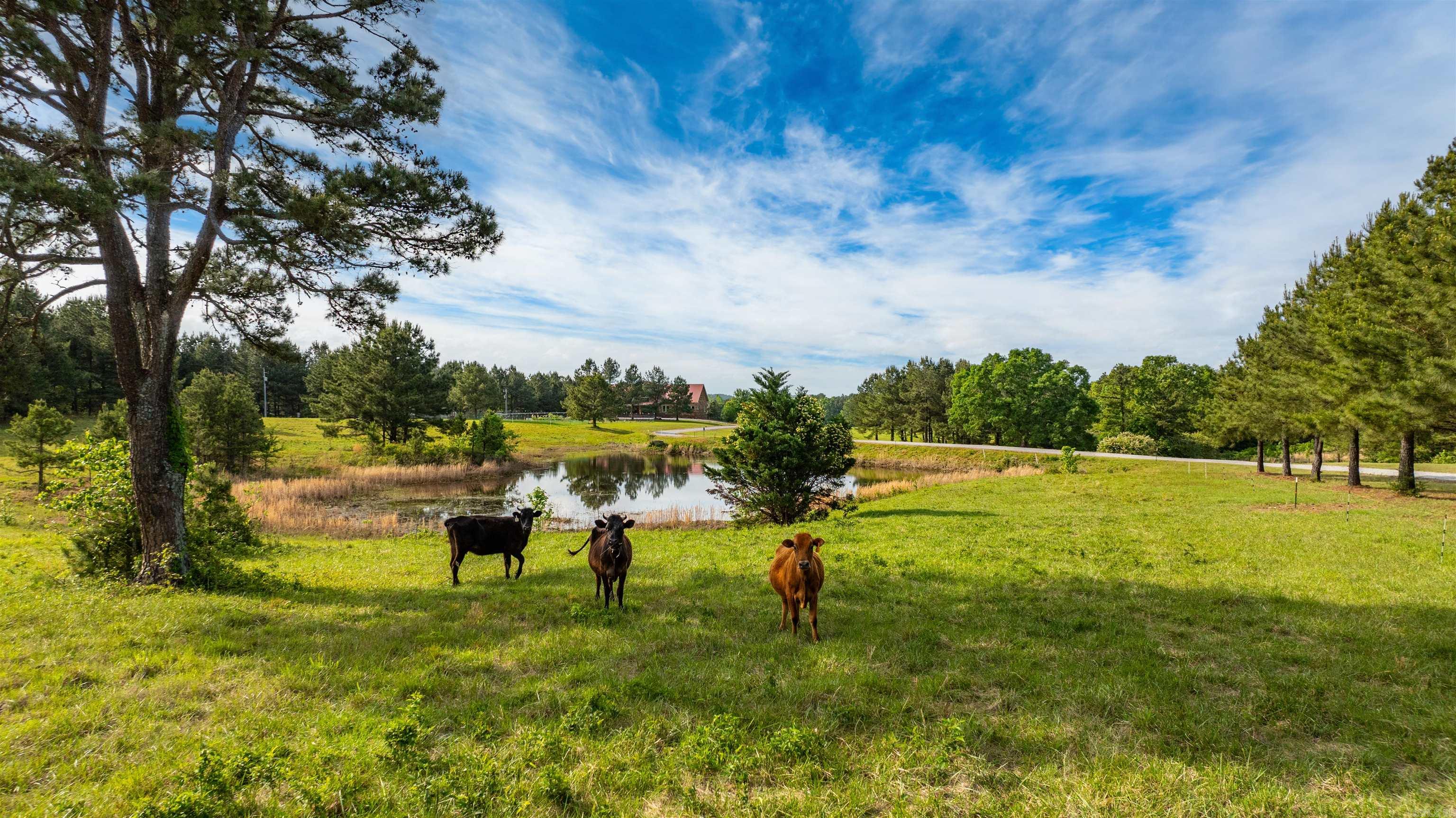 203 Spring  Searcy, AR