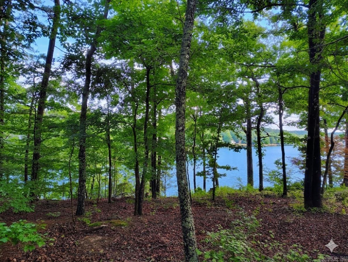 6 Sacedon  Hot Springs Village, AR