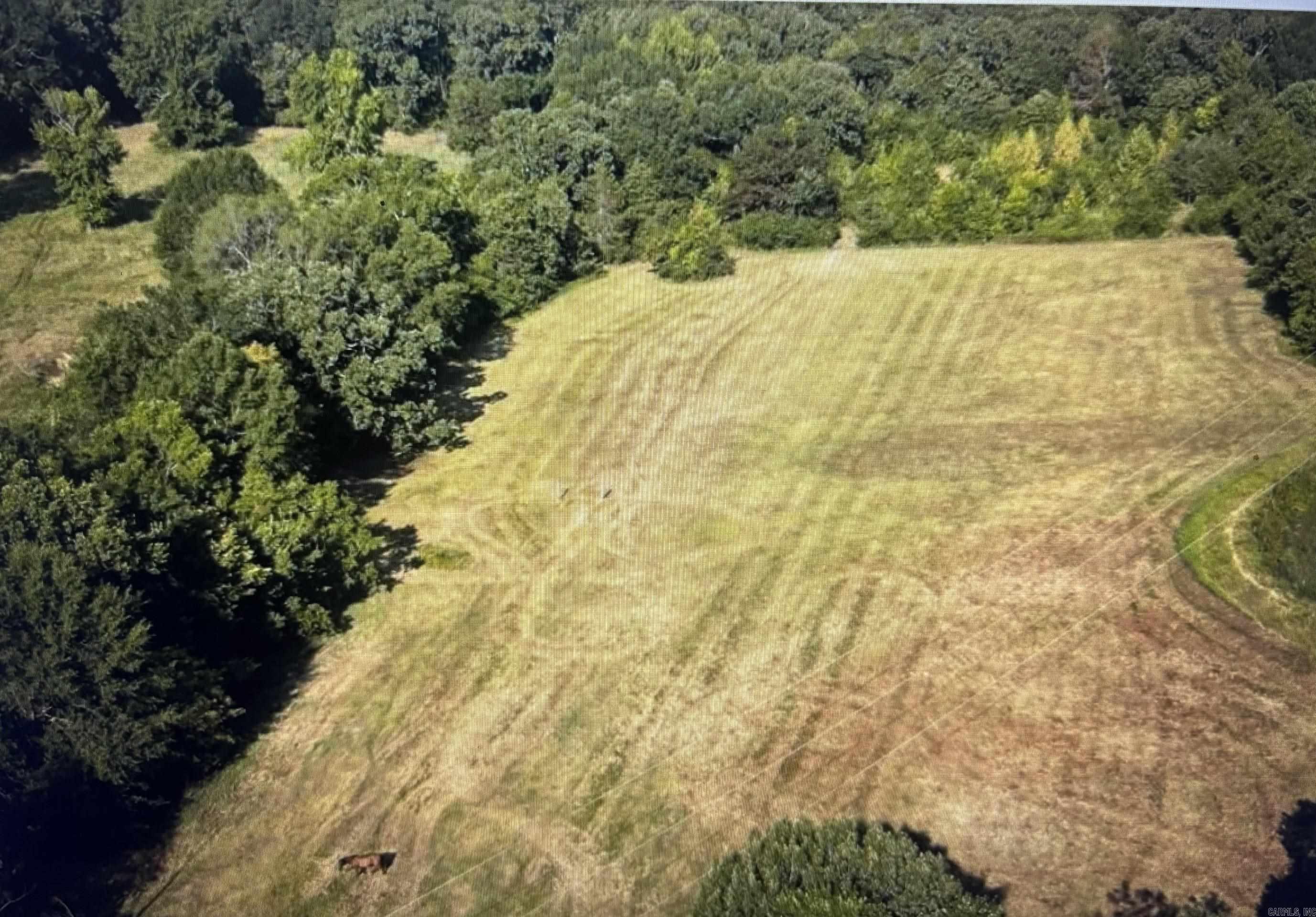 711 Twin Dikes Rd  Atkins, AR