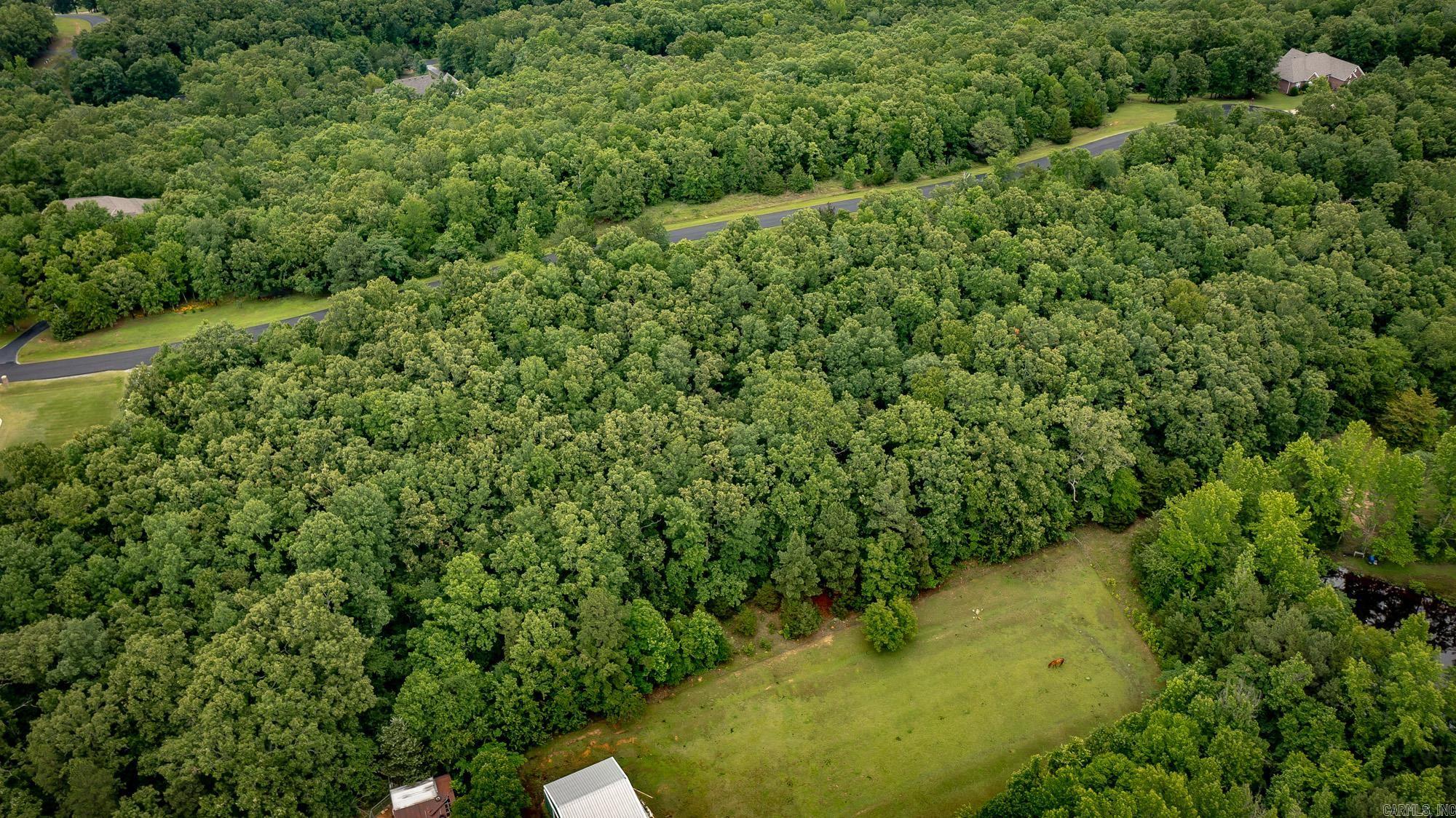 LOT 8 EAGLES NEST  Austin, AR