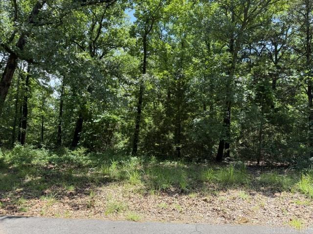 Lot 32 Cedar  Heber Springs, AR
