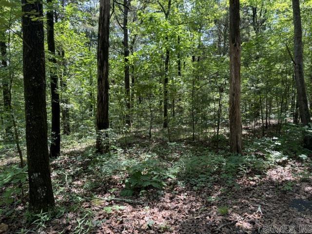Lot 33 Cedar  Heber Springs, AR