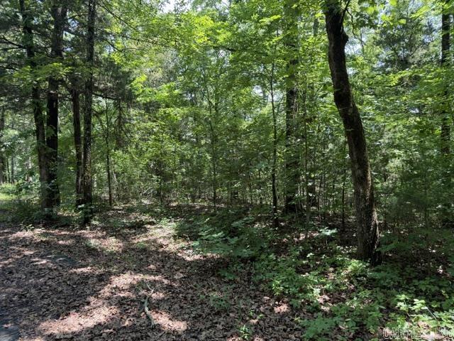 Lot 33 Cedar  Heber Springs, AR