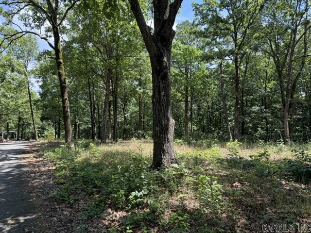 Lot 29 Woodlawn  Heber Springs, AR