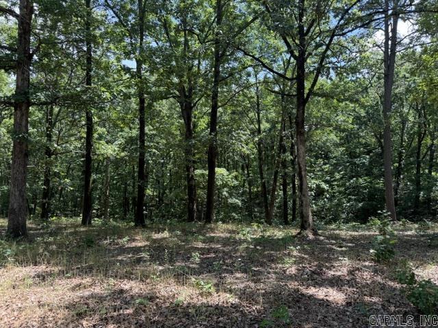 Lot 29 Woodlawn  Heber Springs, AR