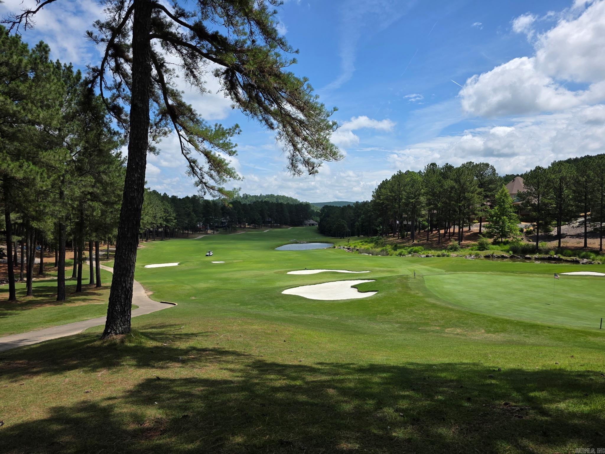 32 Alteza  Hot Springs Village, AR