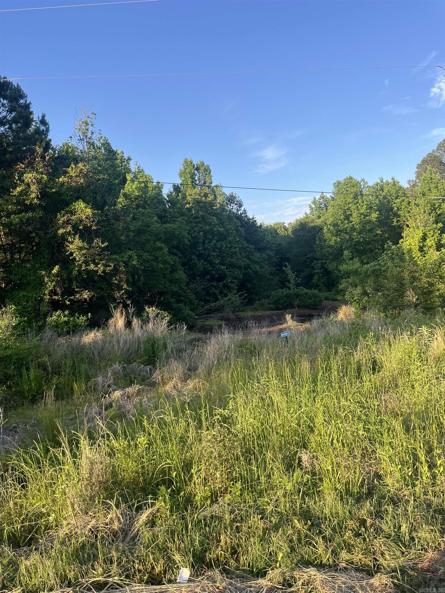 Lot 18 Kennedy, Sherwood Forest  Monticello, AR