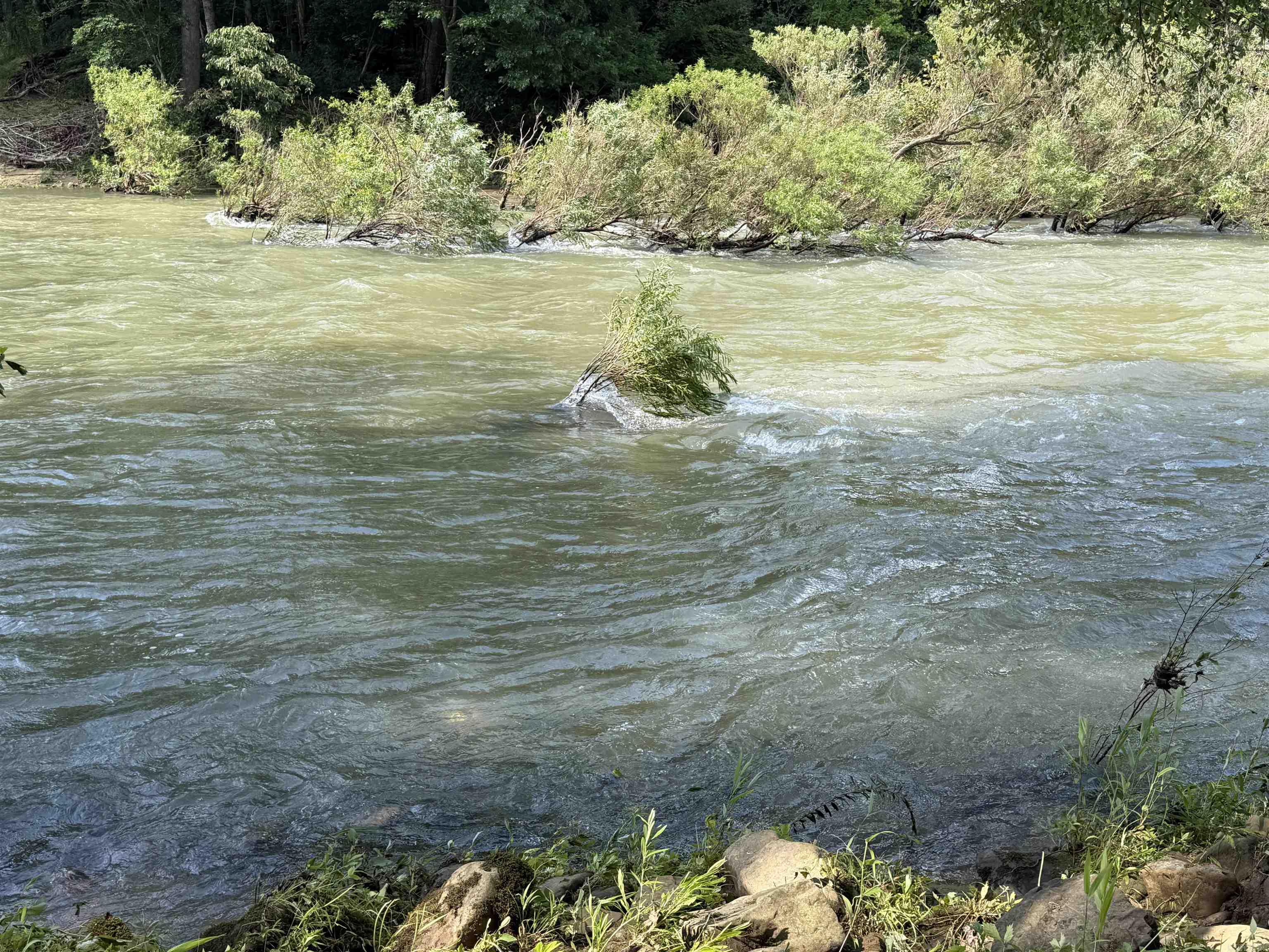 000 River Road  Shirley, AR