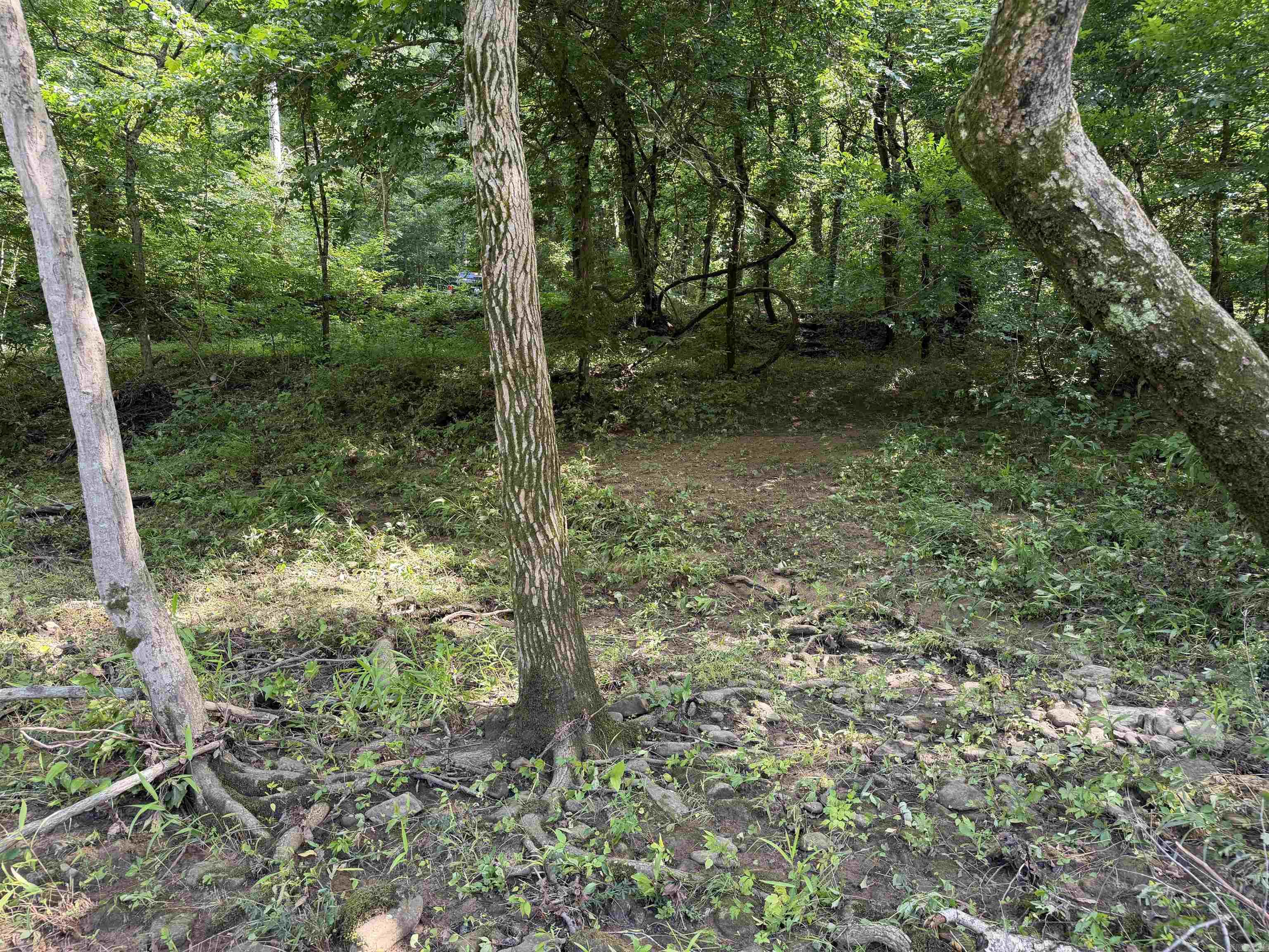 000 River Road  Shirley, AR