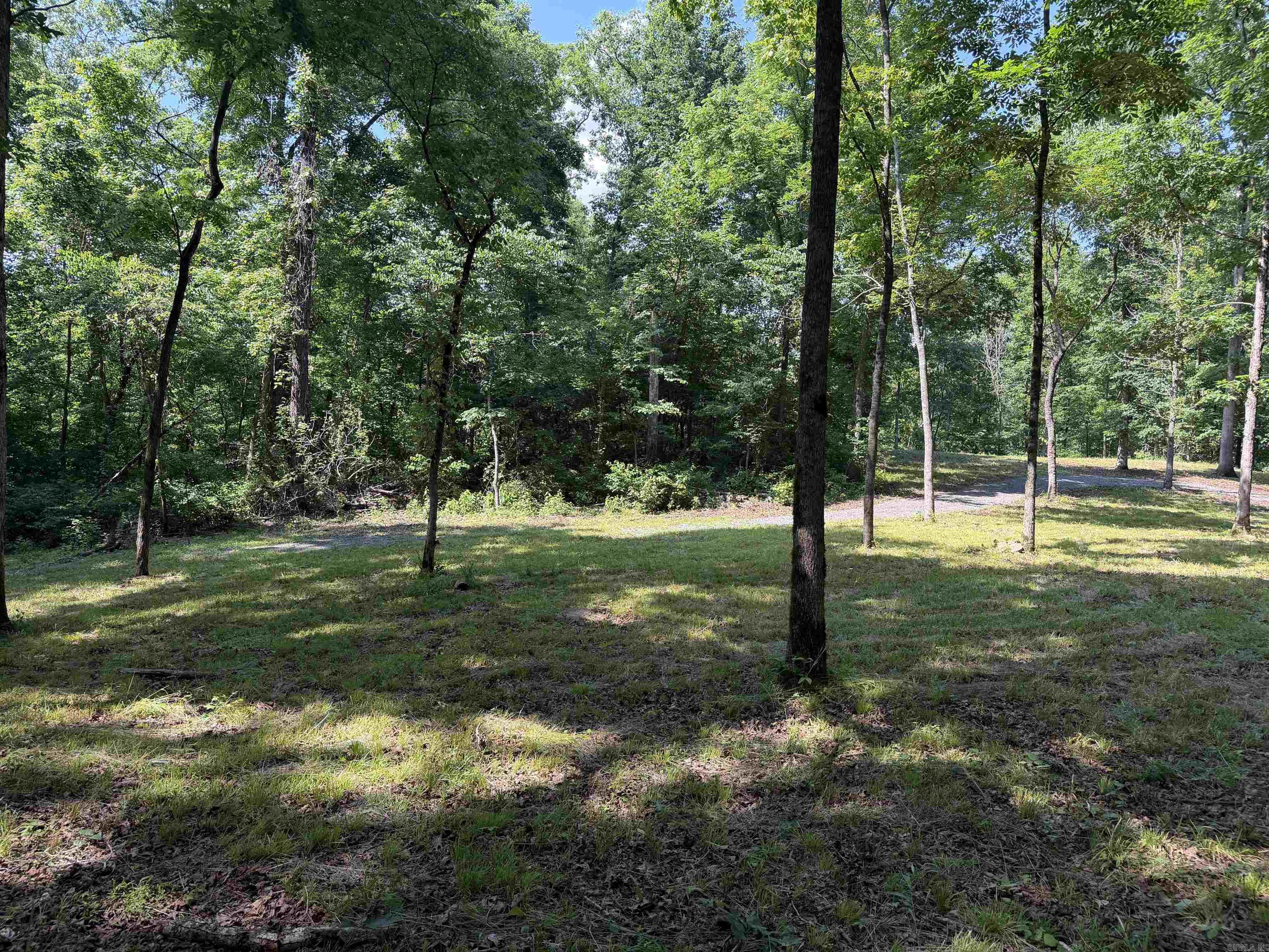 000 River Road  Shirley, AR
