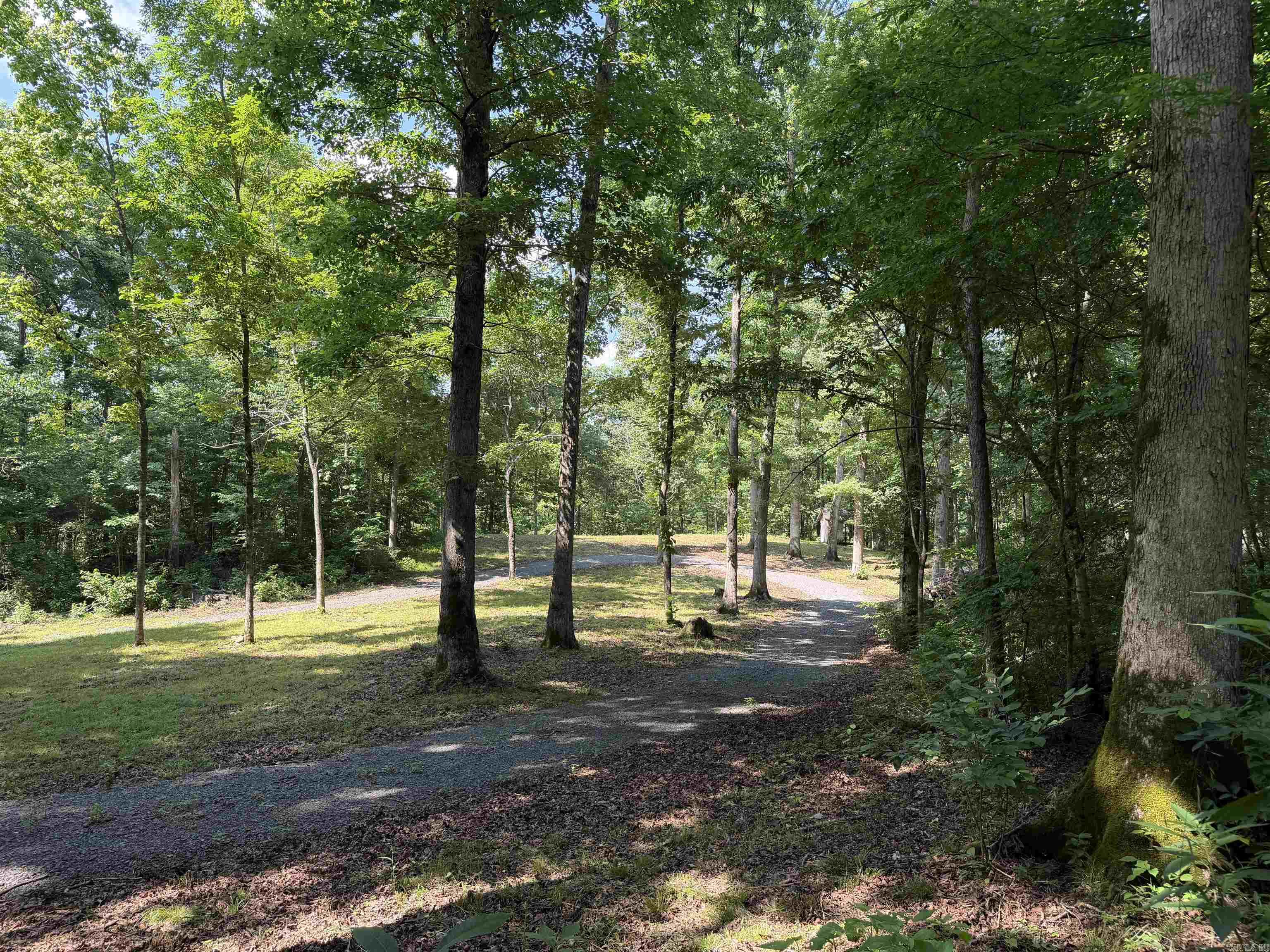 000 River Road  Shirley, AR