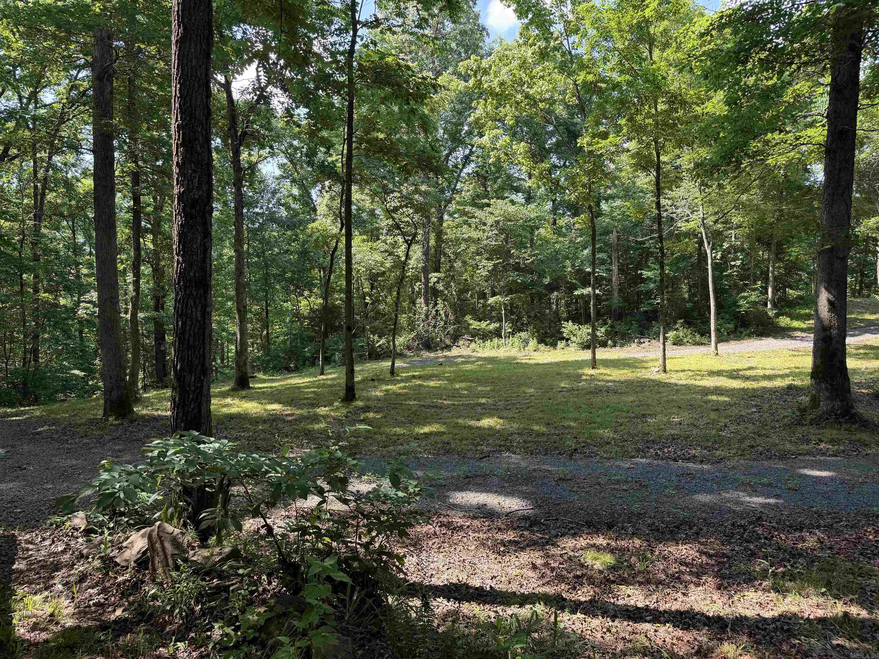 000 River Road  Shirley, AR