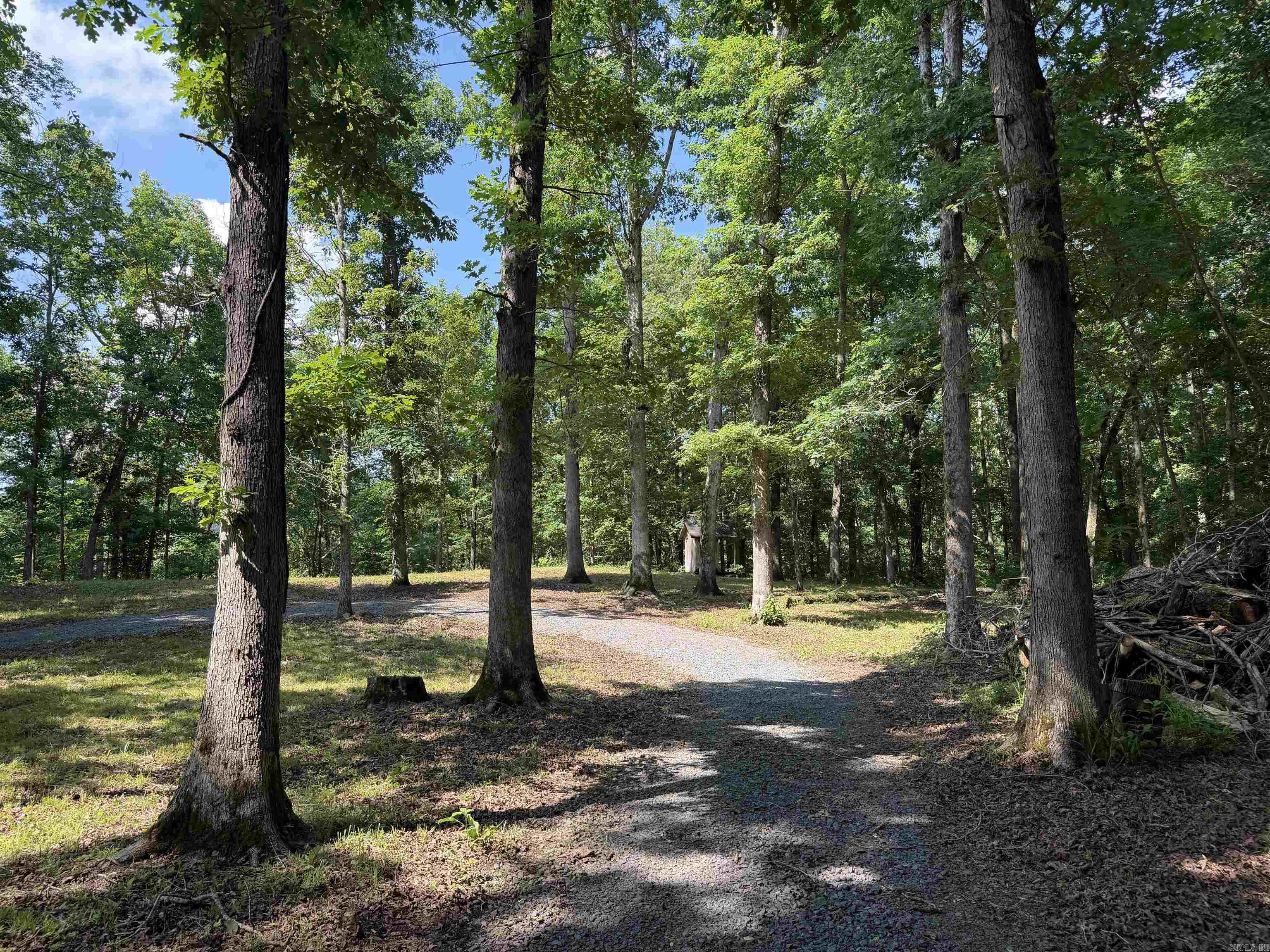 000 River Road  Shirley, AR